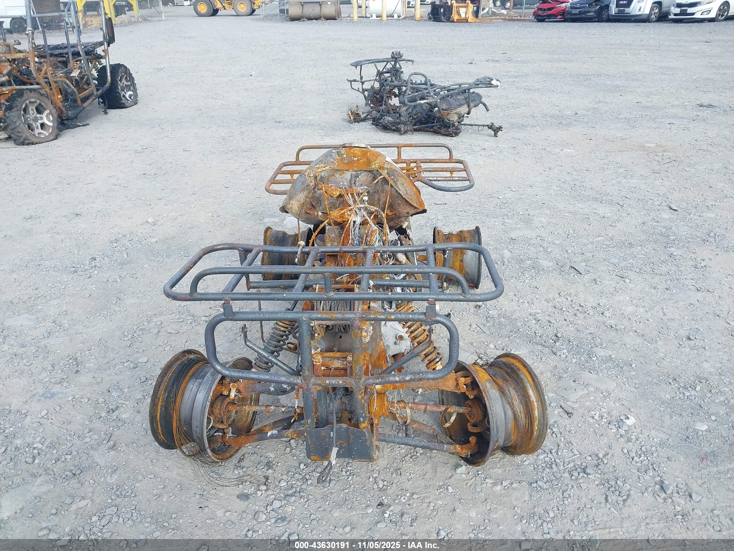HONDA TRX300 image 5