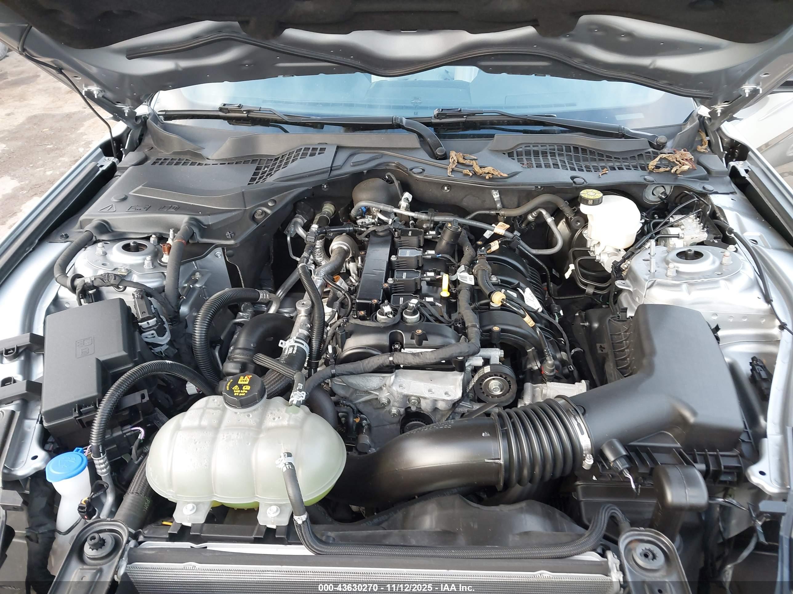 FORD MUSTANG image 10