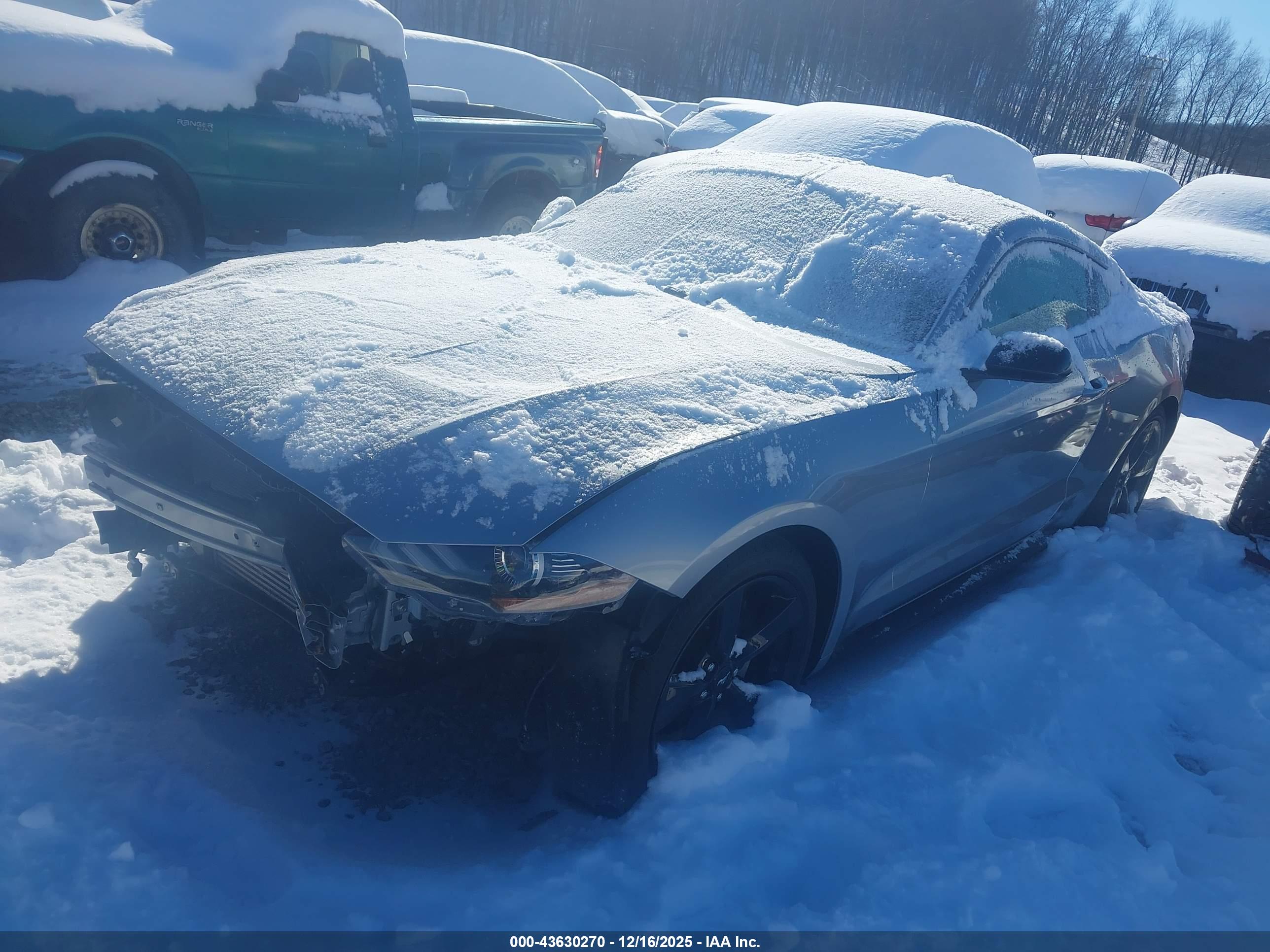 FORD MUSTANG image 2