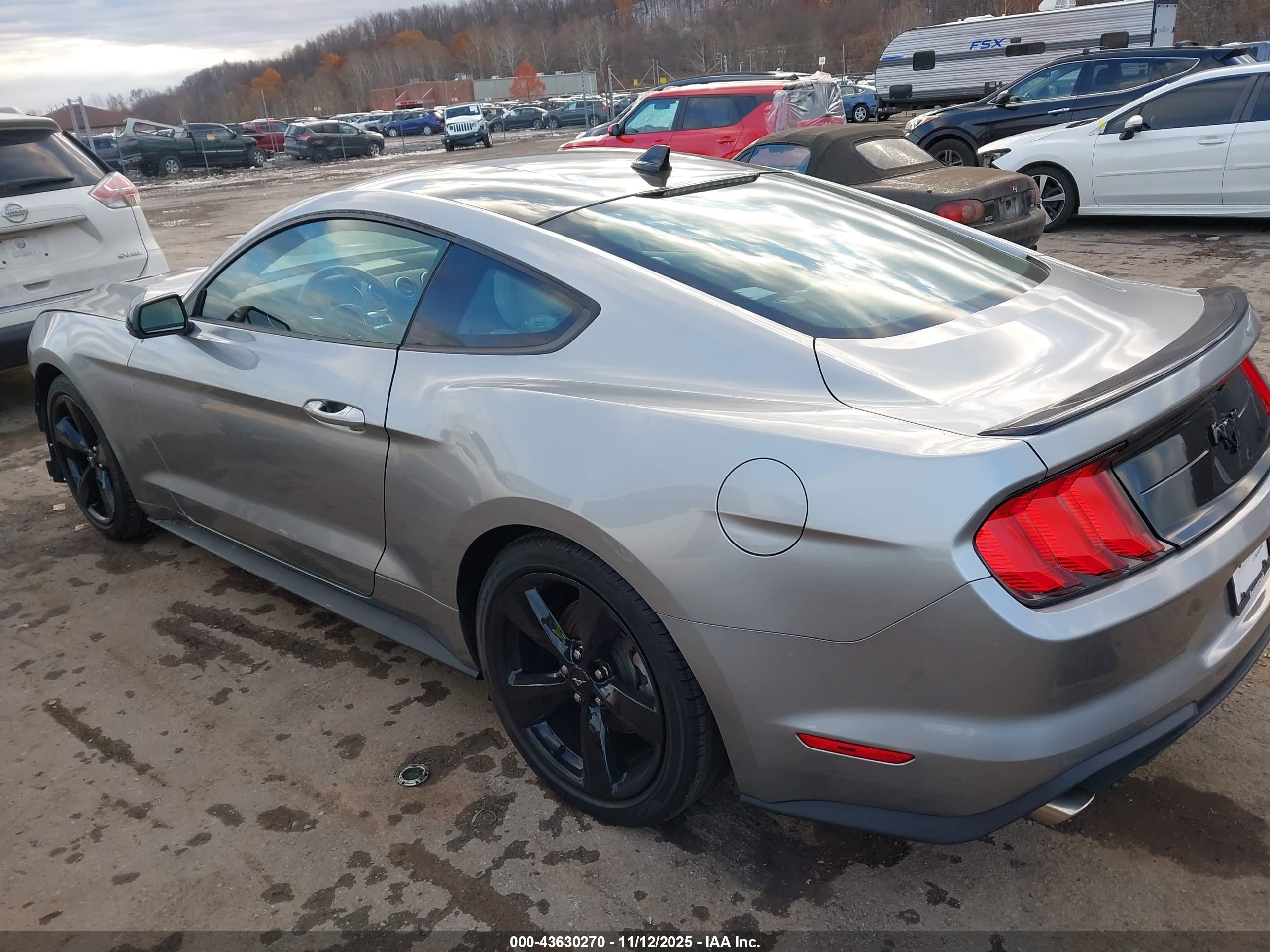 FORD MUSTANG image 3