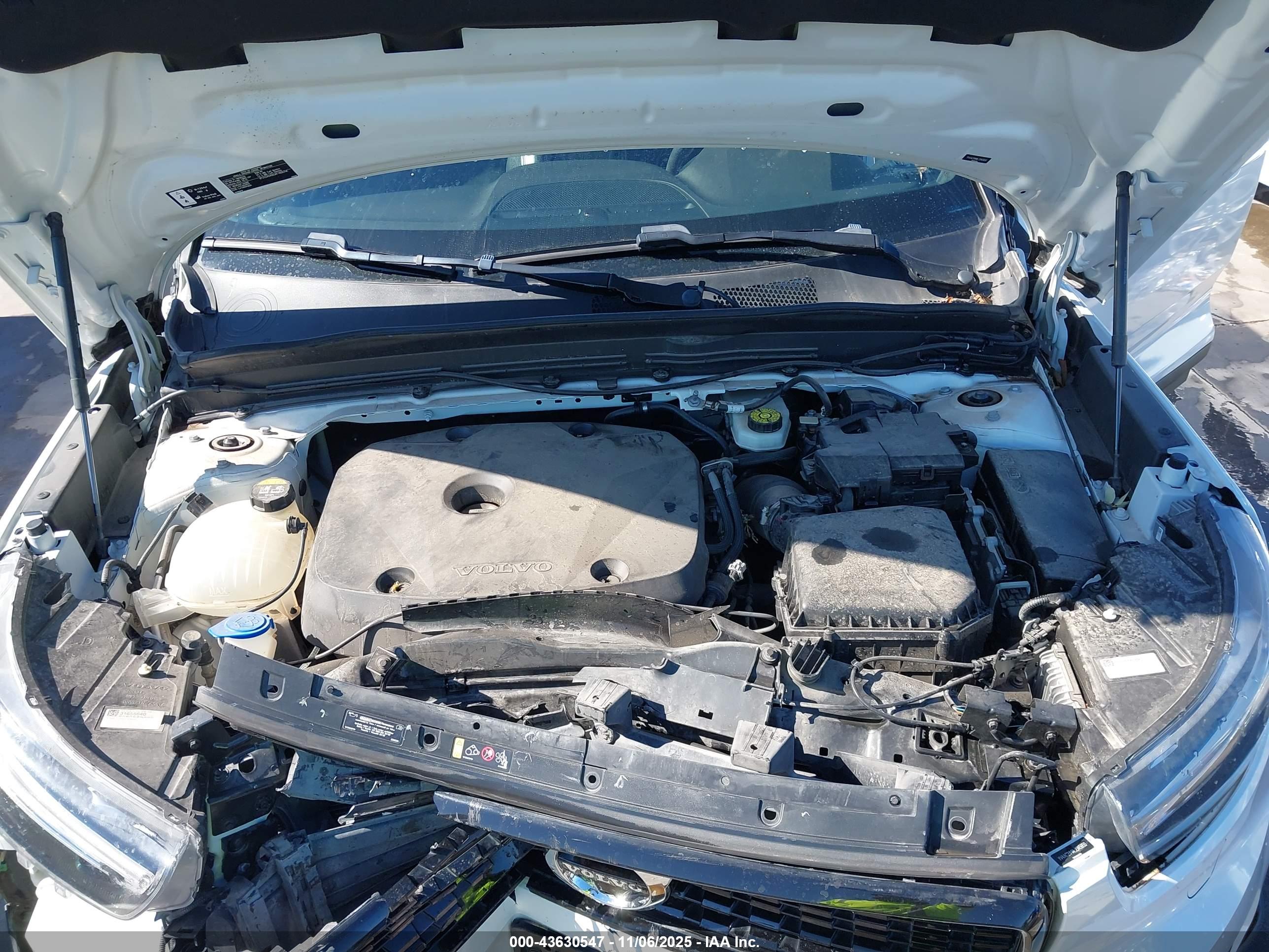 VOLVO XC40 image 10