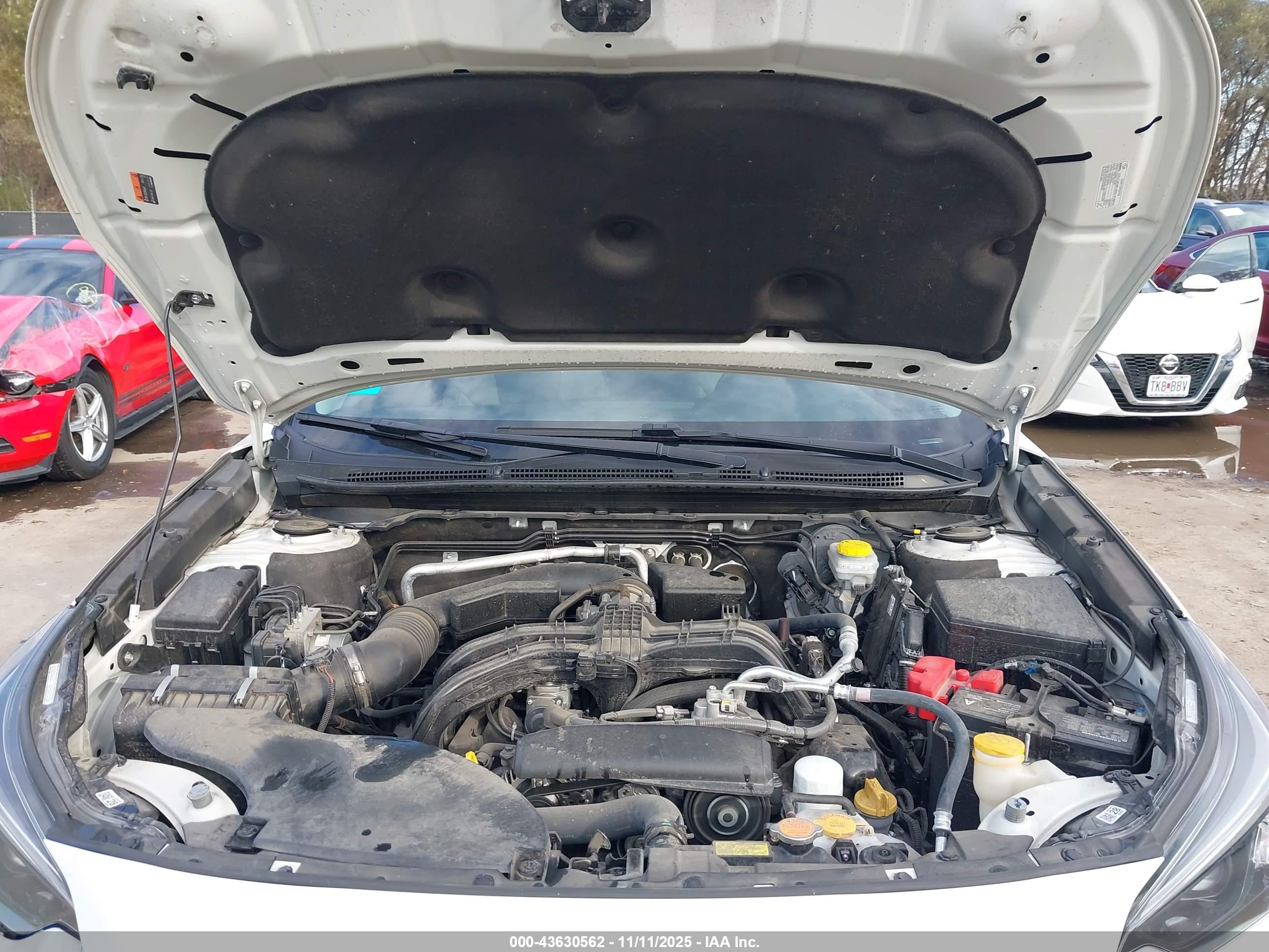 SUBARU OUTBACK image 10