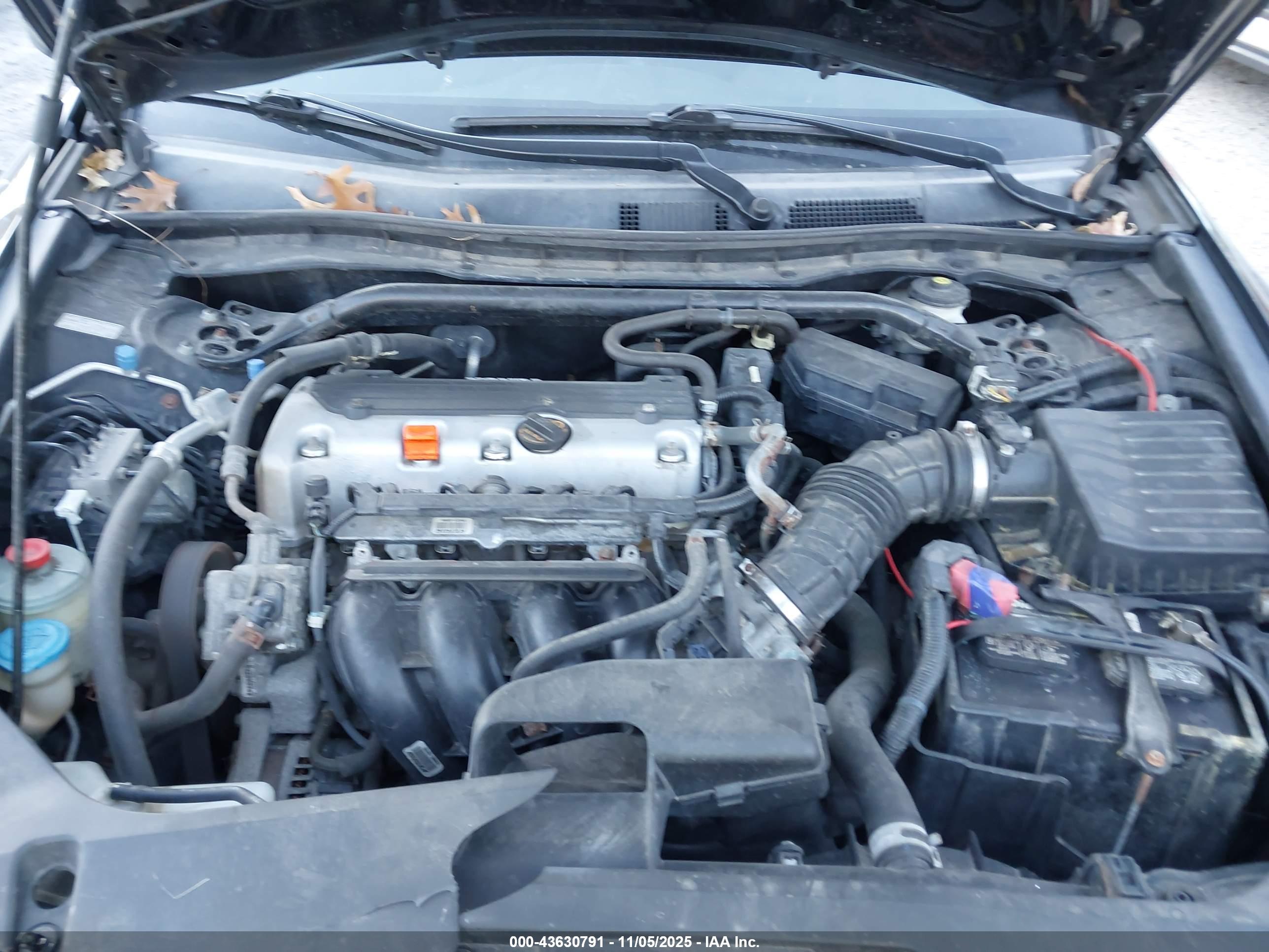 HONDA ACCORD image 10