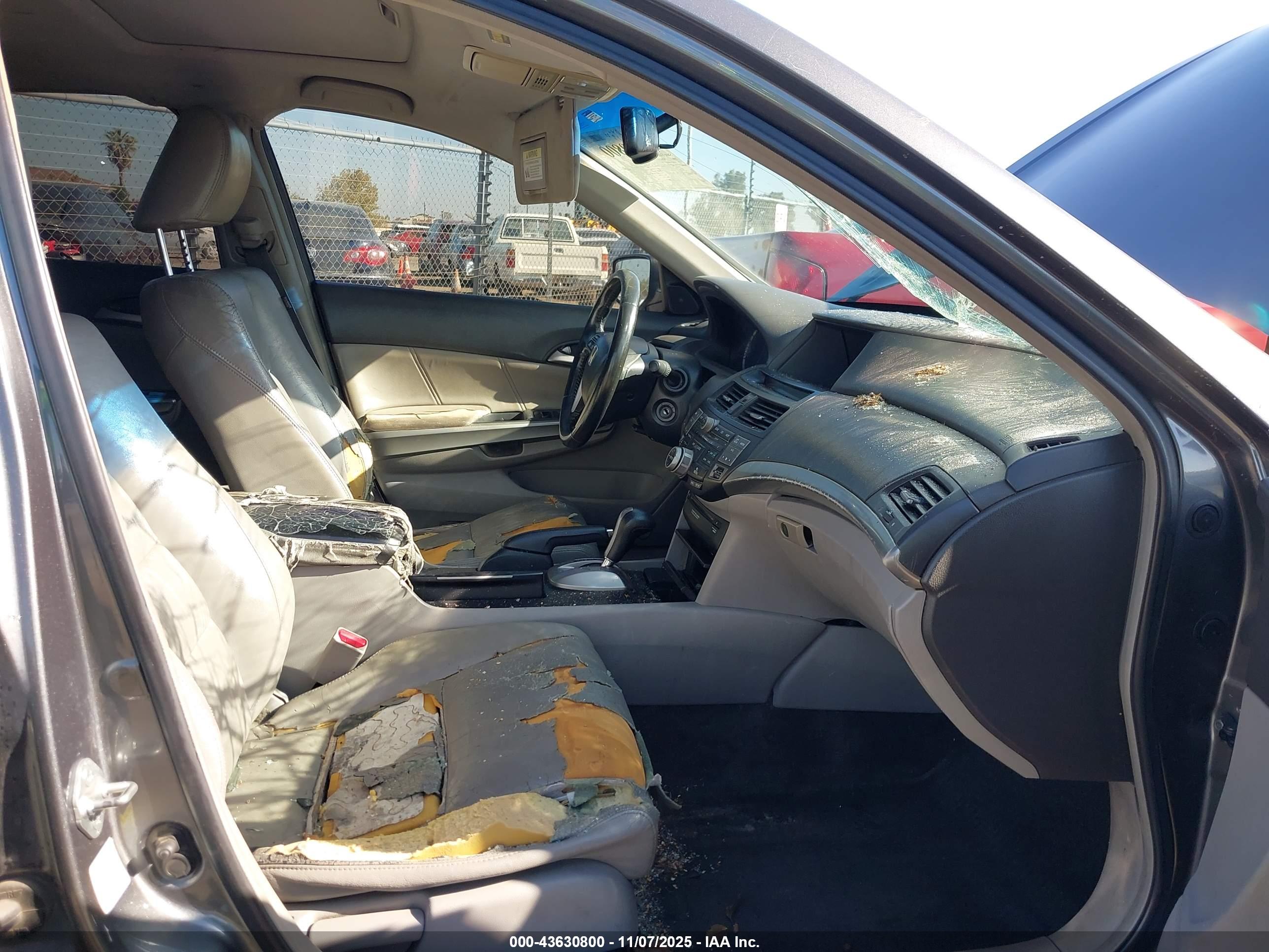 HONDA ACCORD image 5