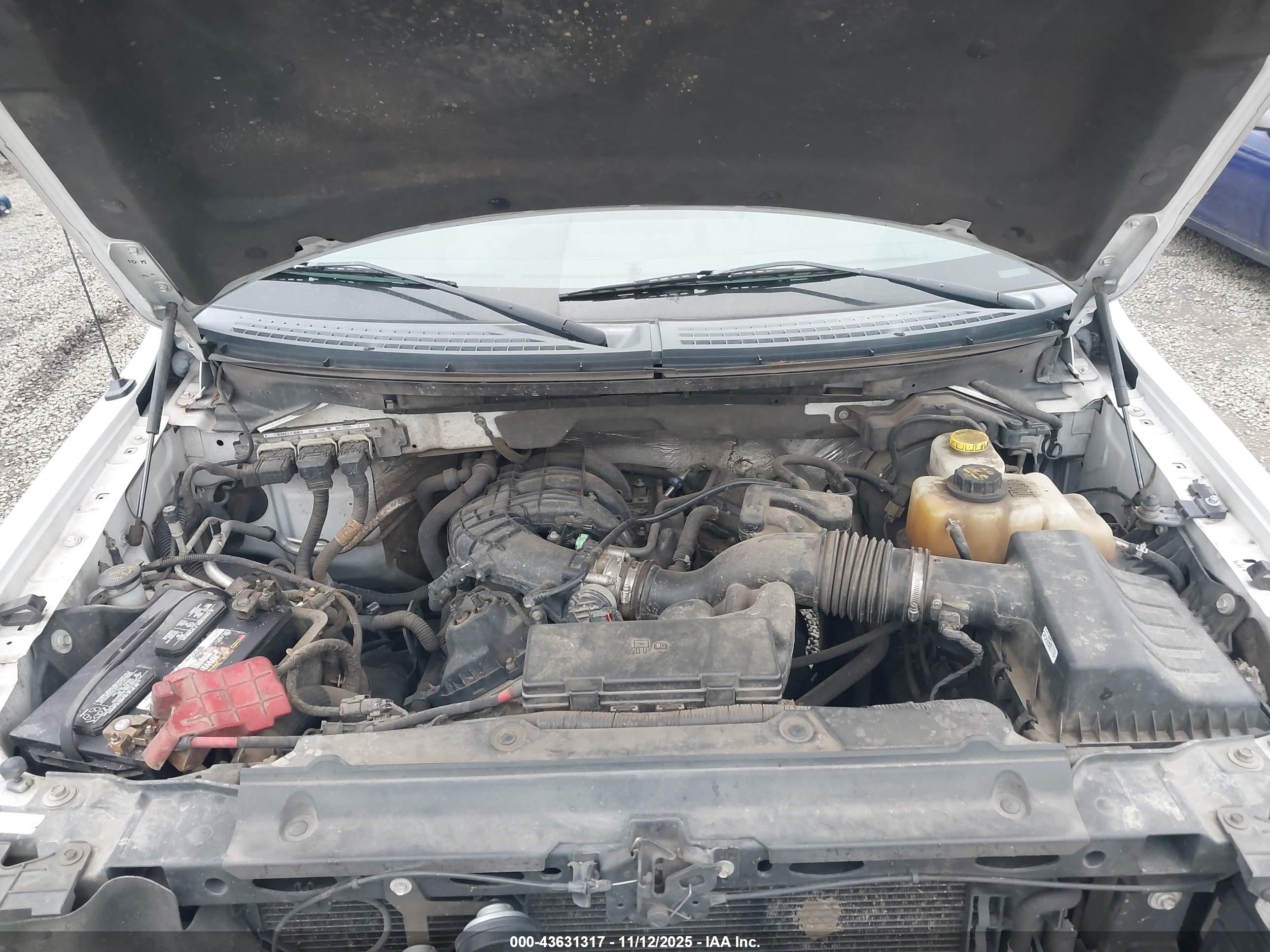 FORD F-150 image 10