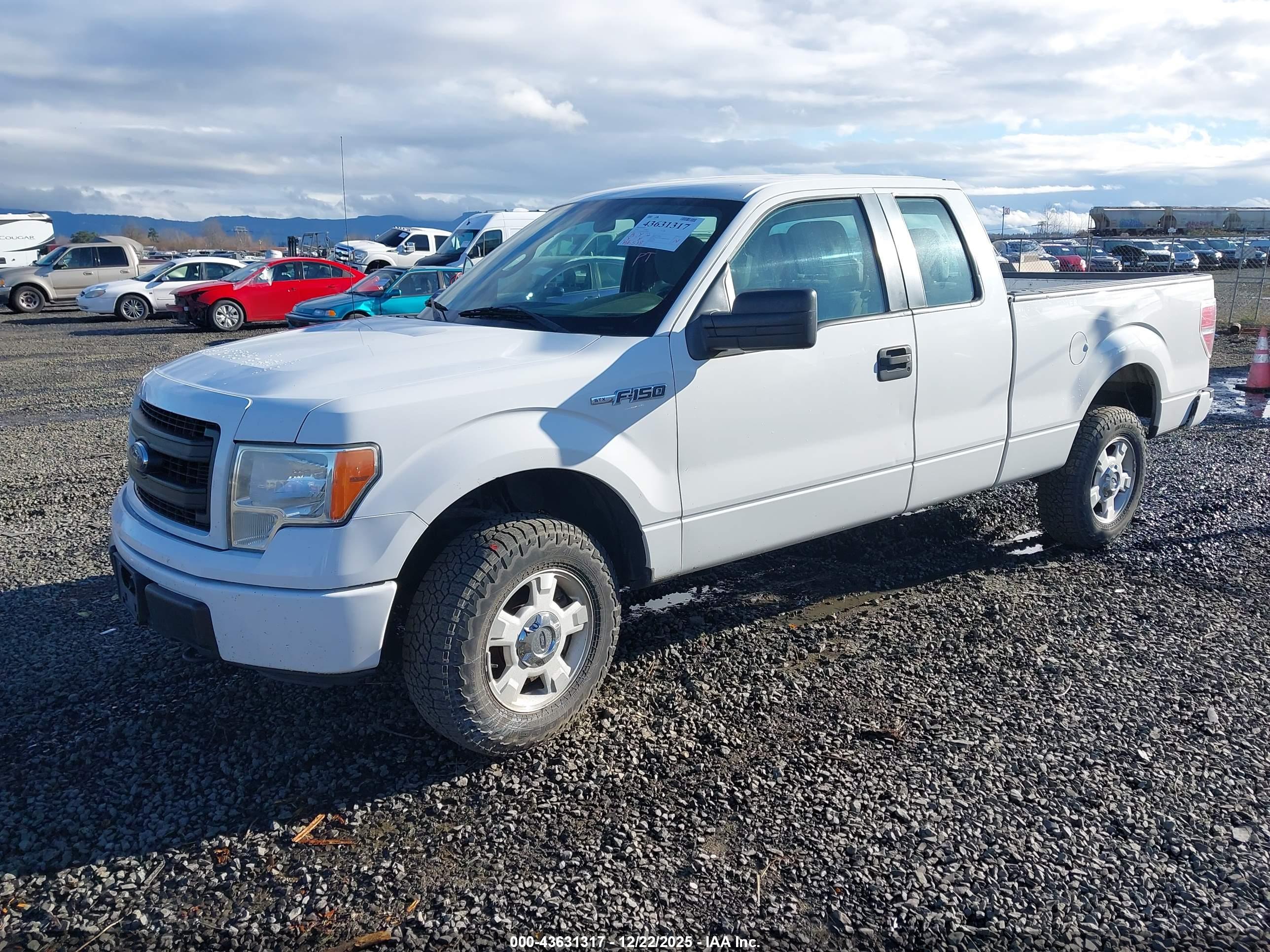 FORD F-150 image 2