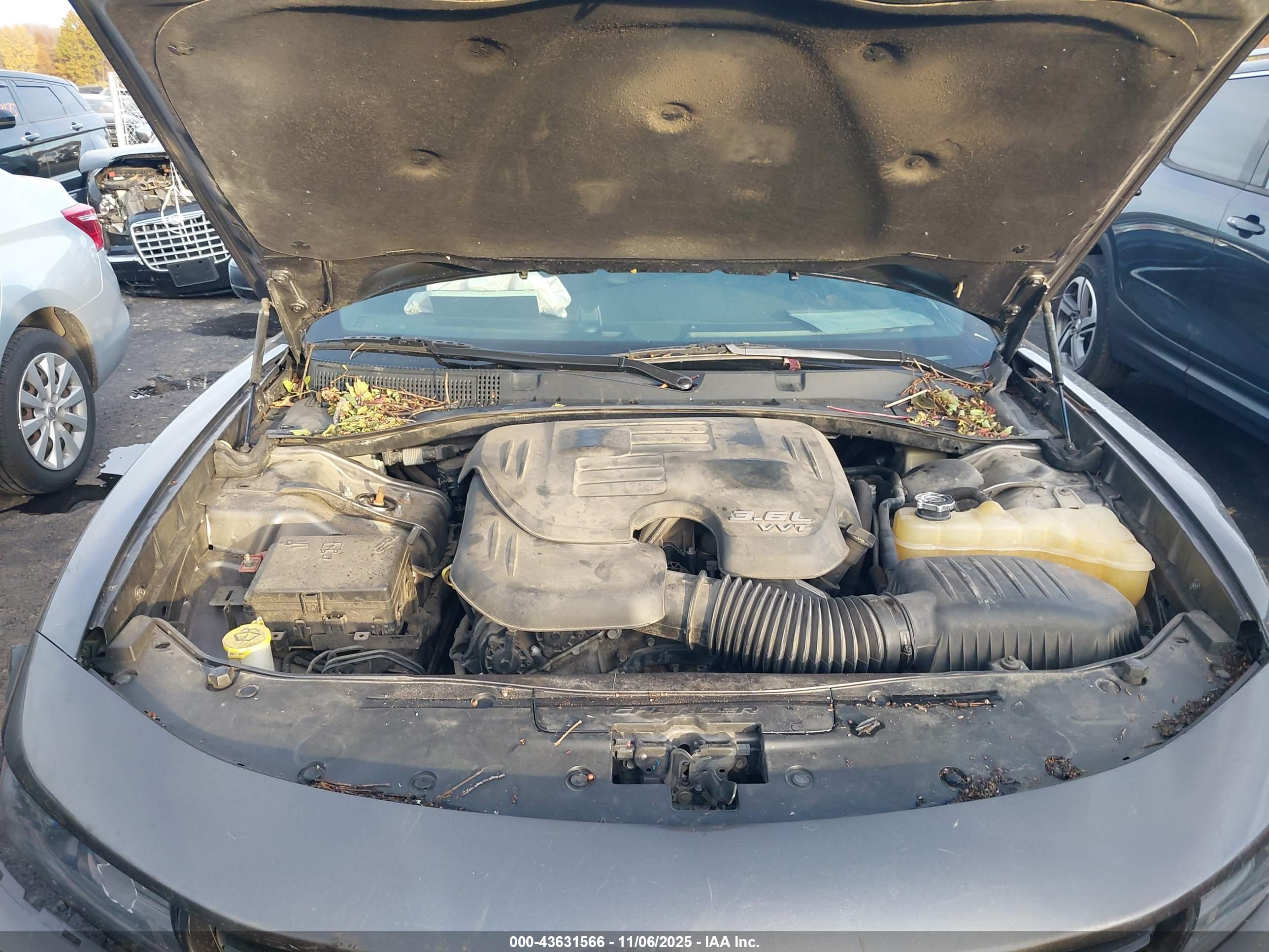 DODGE CHARGER image 10