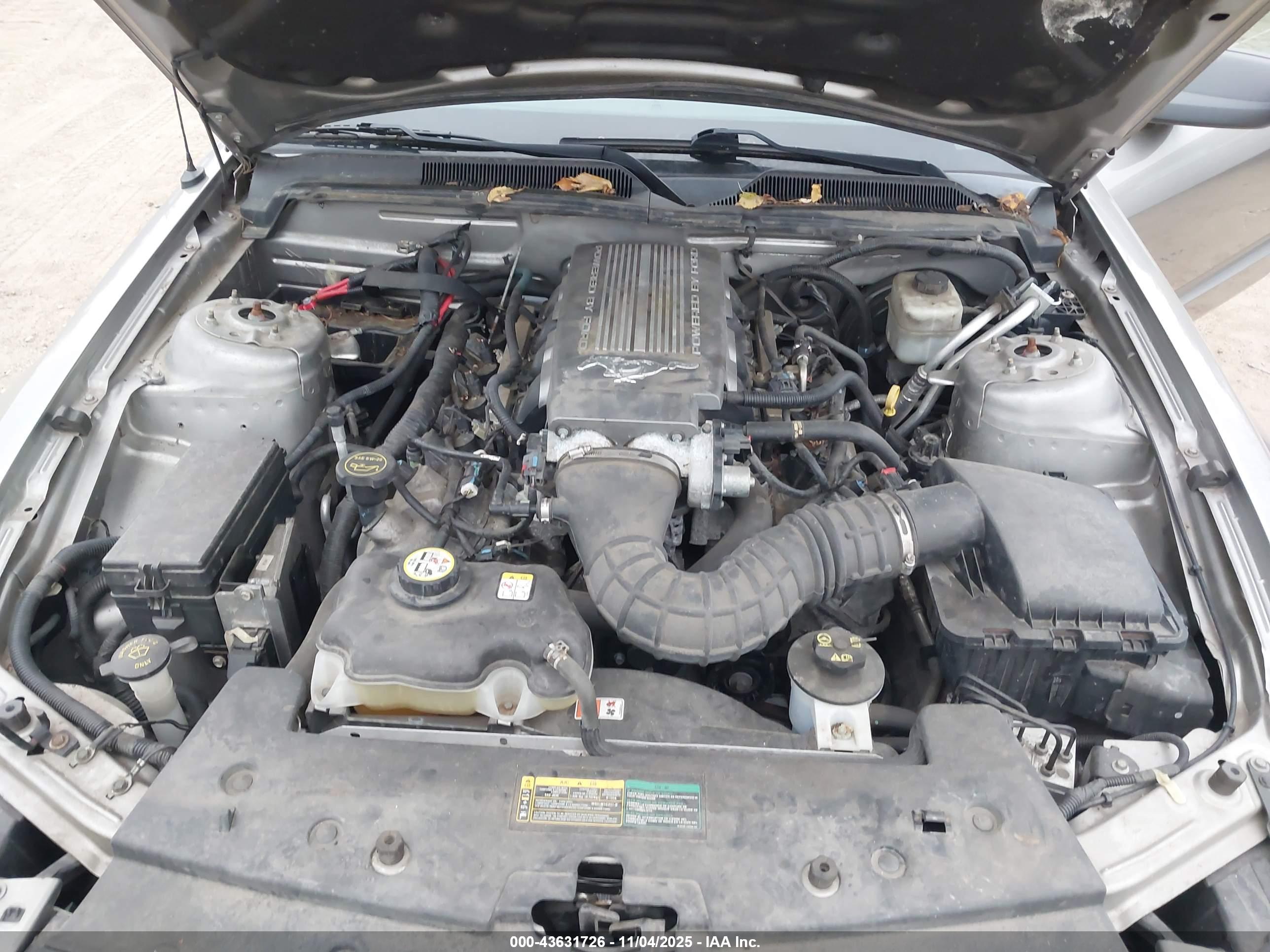 FORD MUSTANG image 10