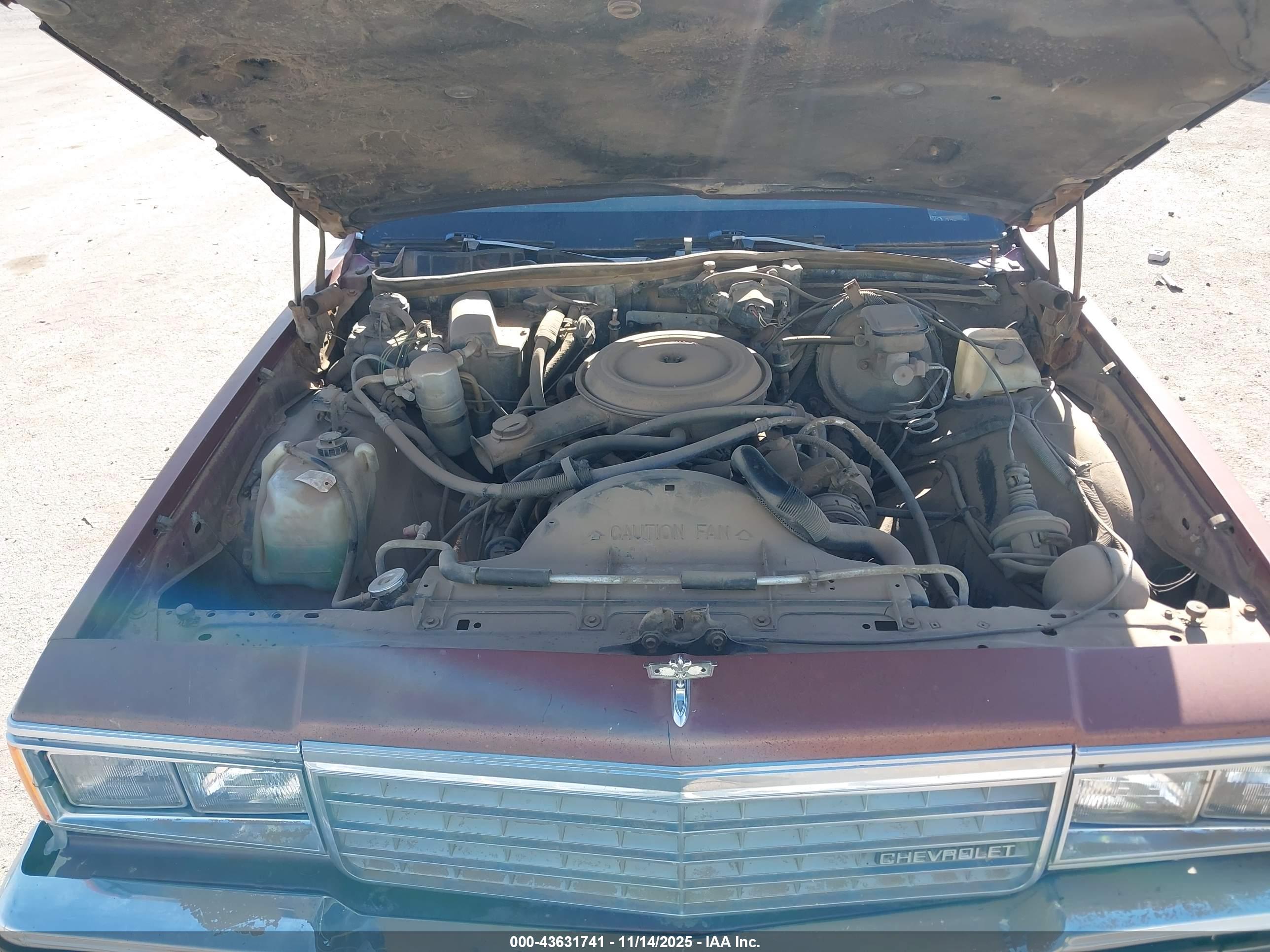CHEVROLET CAPRICE image 10