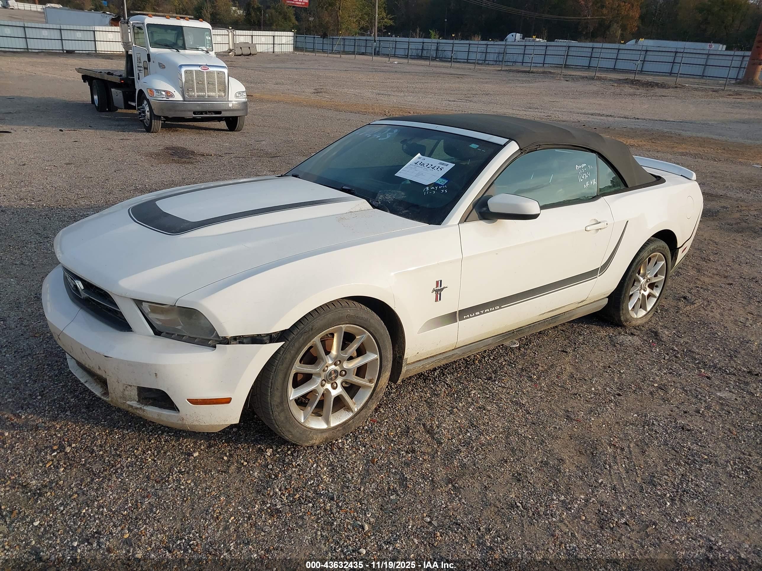 FORD MUSTANG image 2