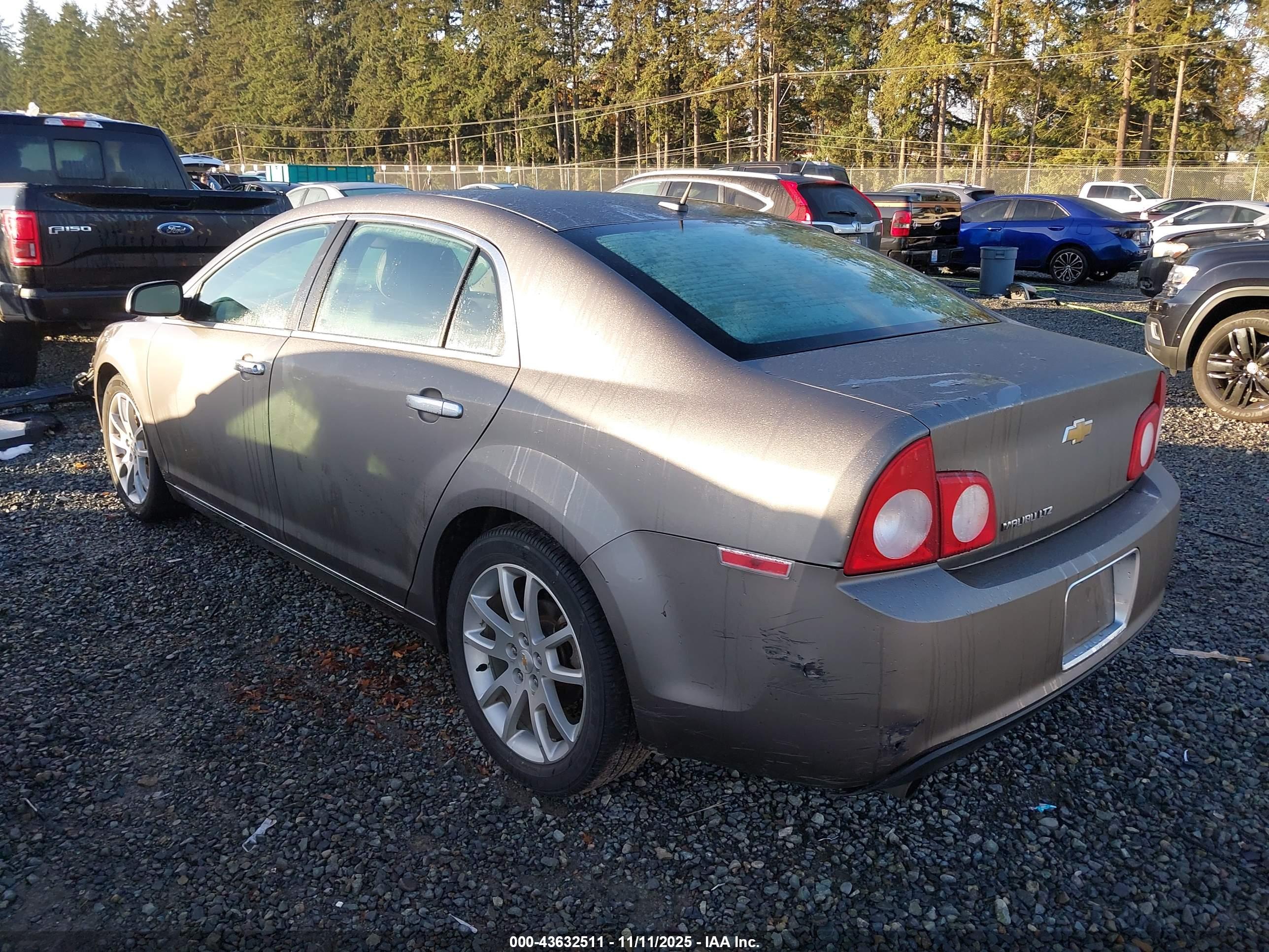 CHEVROLET MALIBU image 3