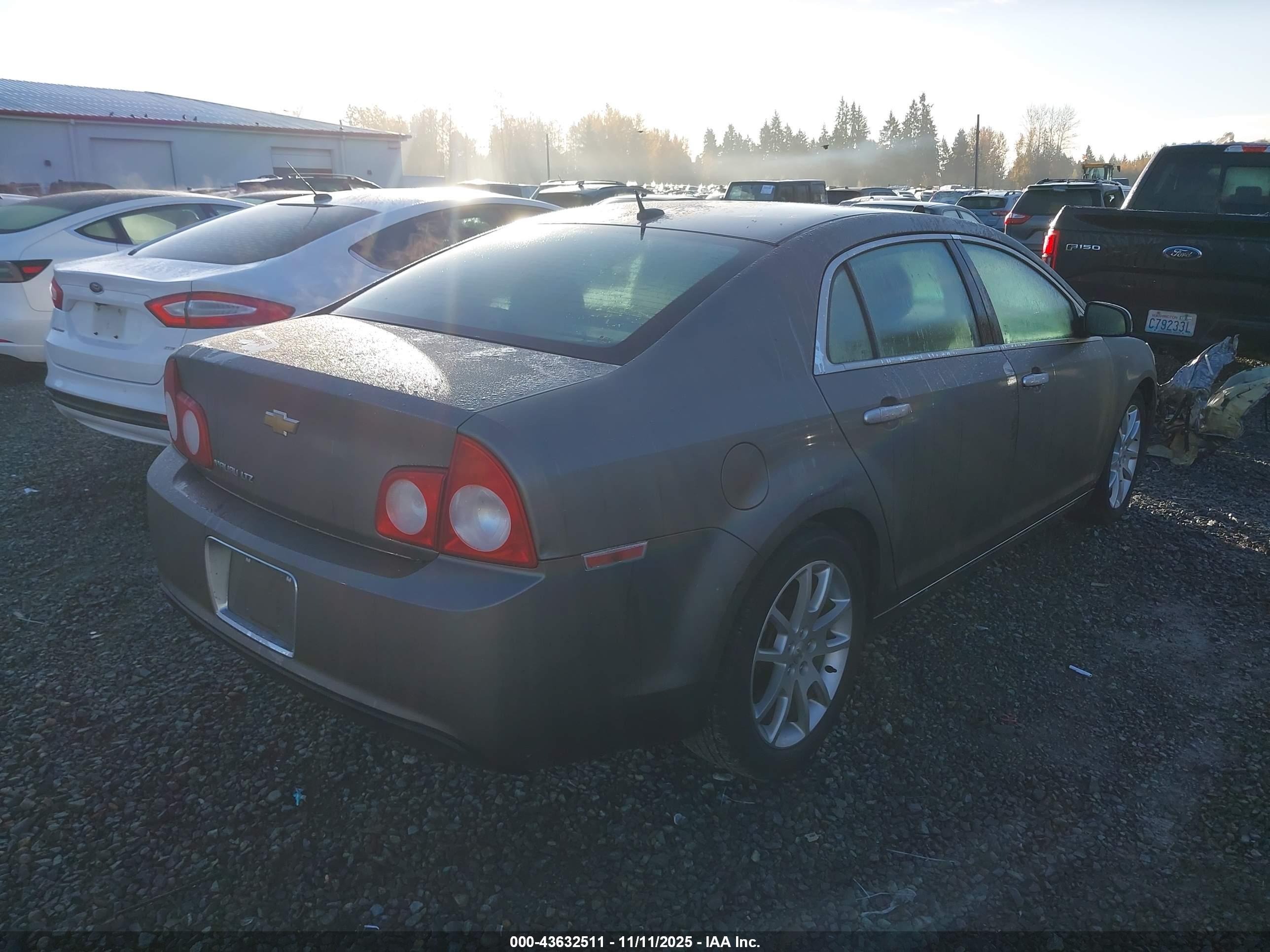 CHEVROLET MALIBU image 4