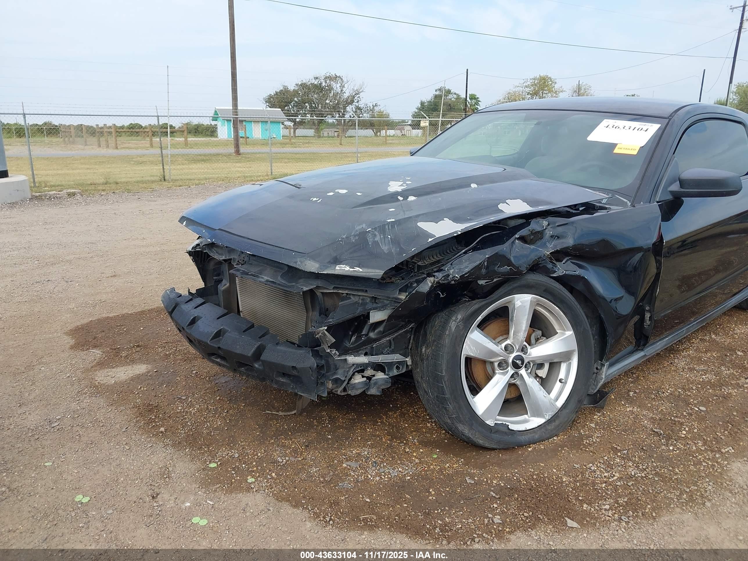 FORD MUSTANG image 6