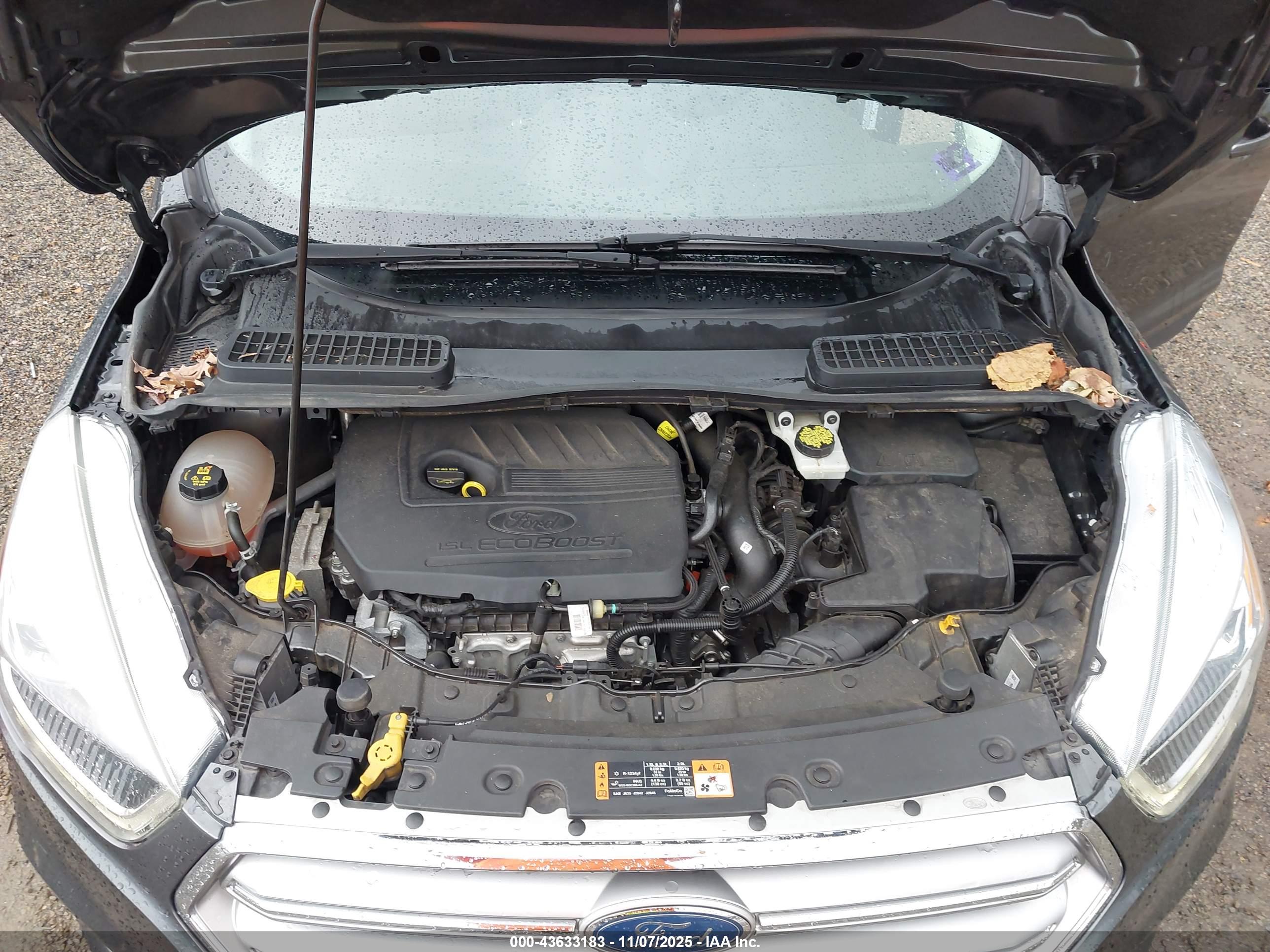 FORD ESCAPE image 10