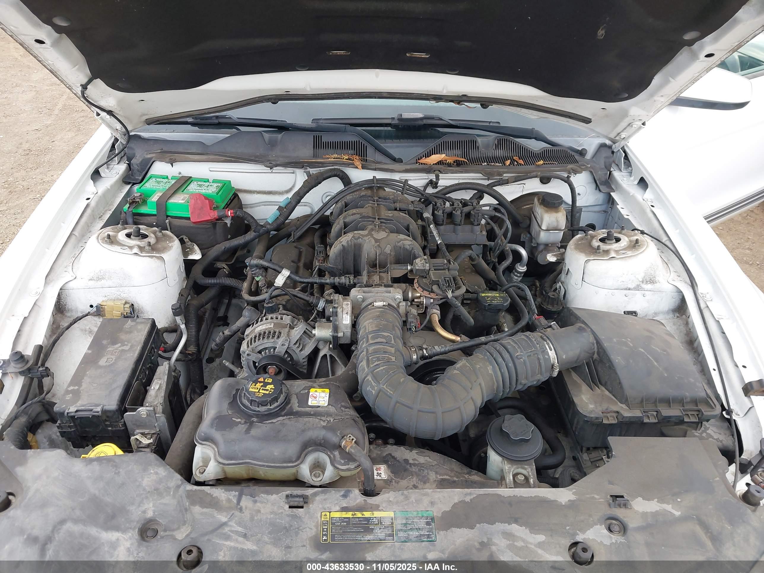 FORD MUSTANG image 10