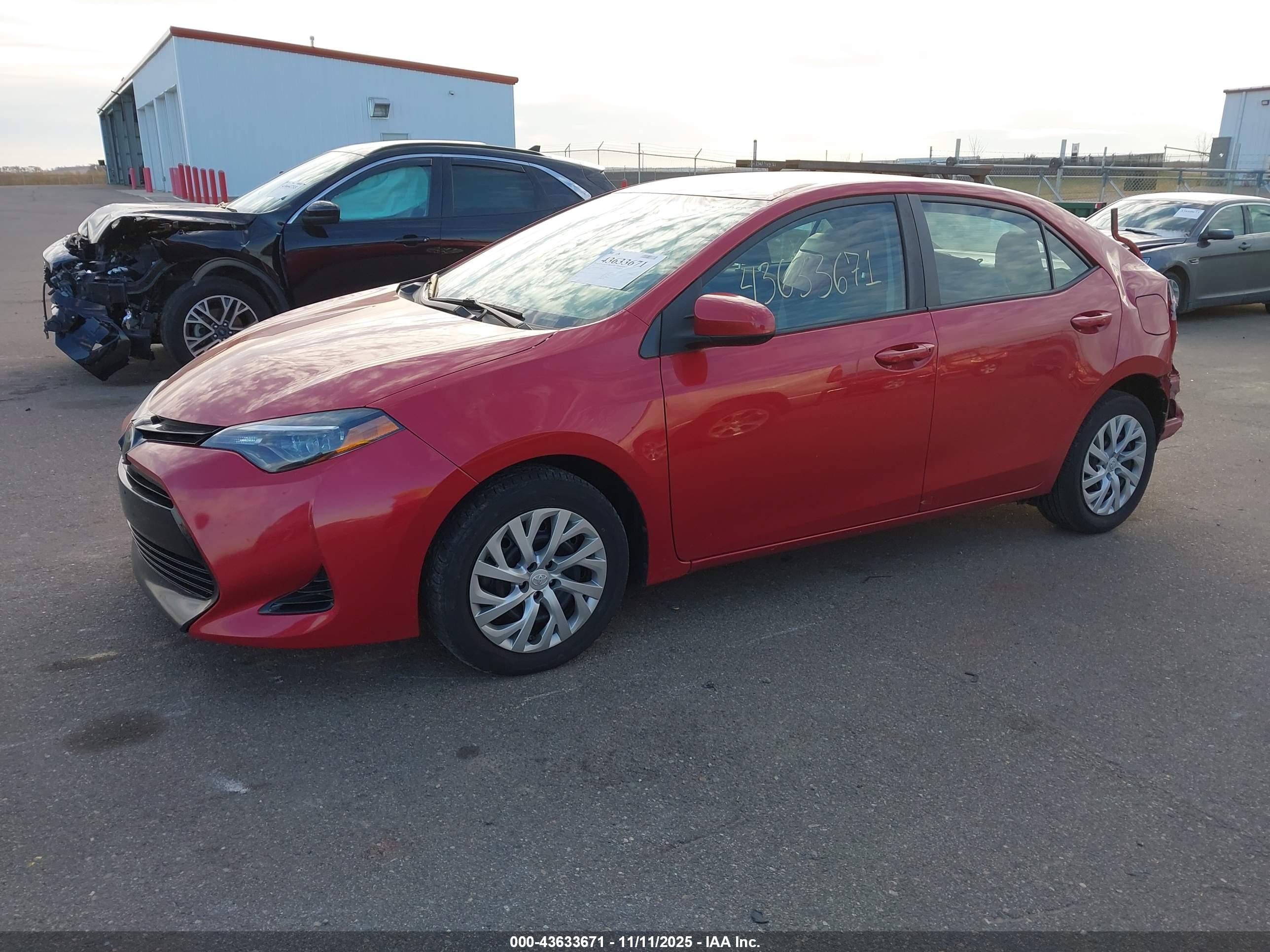 TOYOTA COROLLA image 2