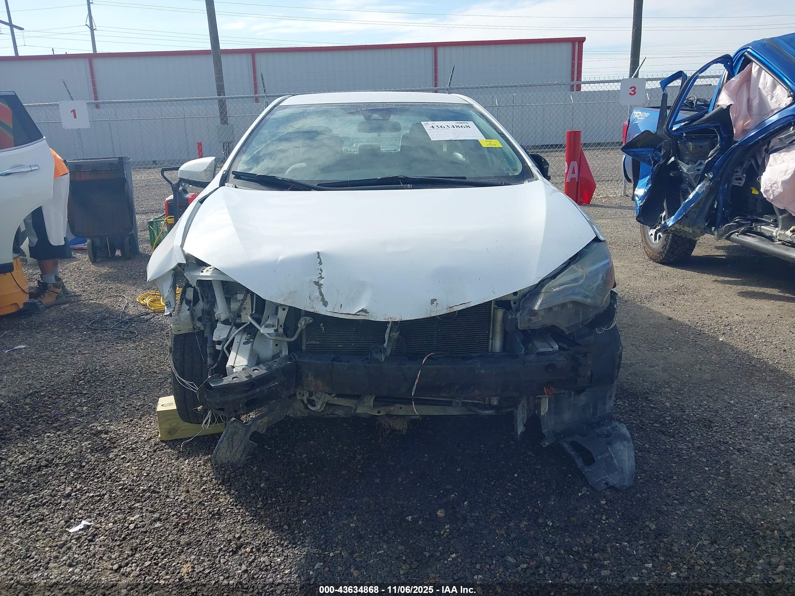 TOYOTA COROLLA image 6