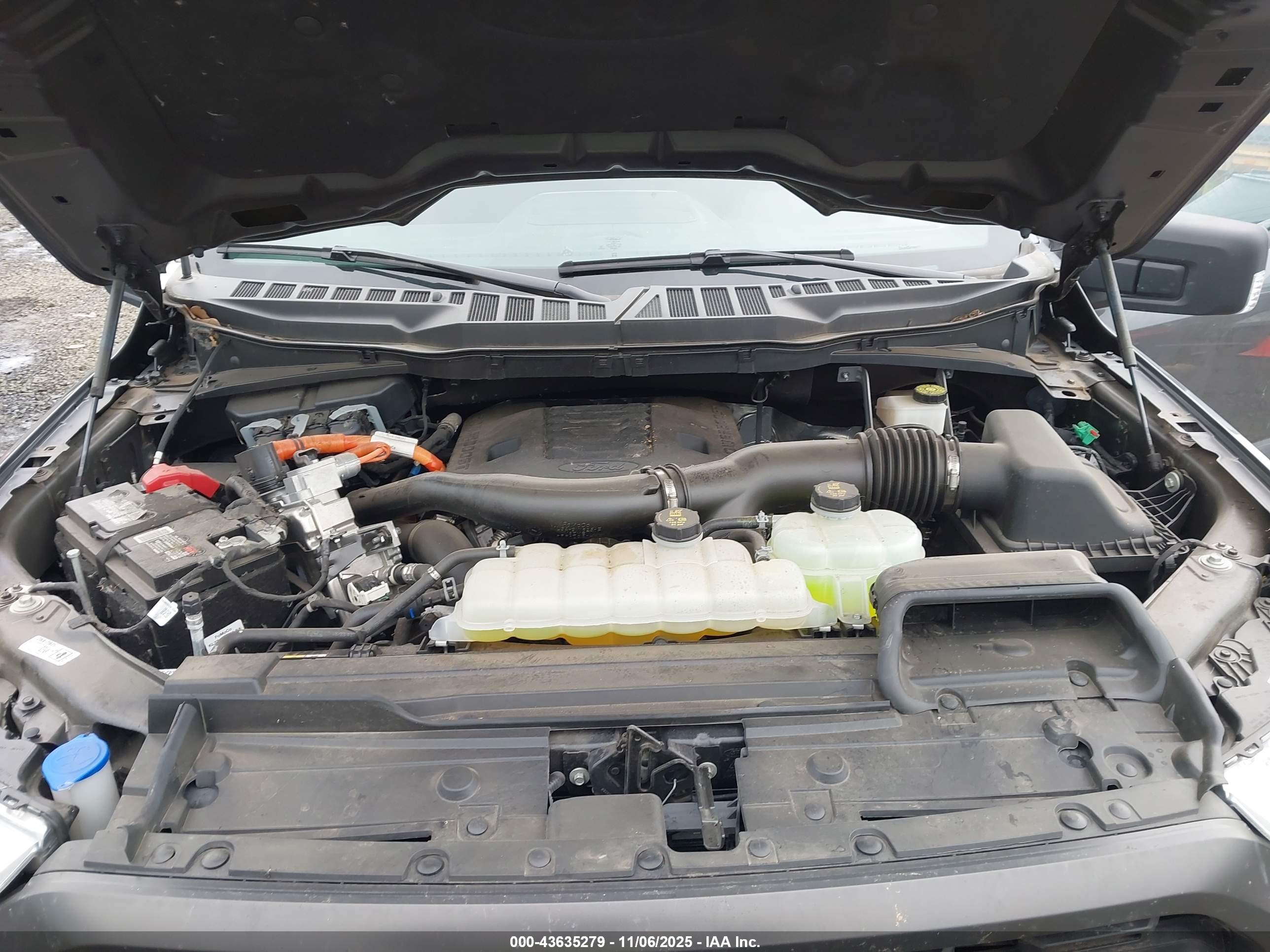 FORD F-150 image 10