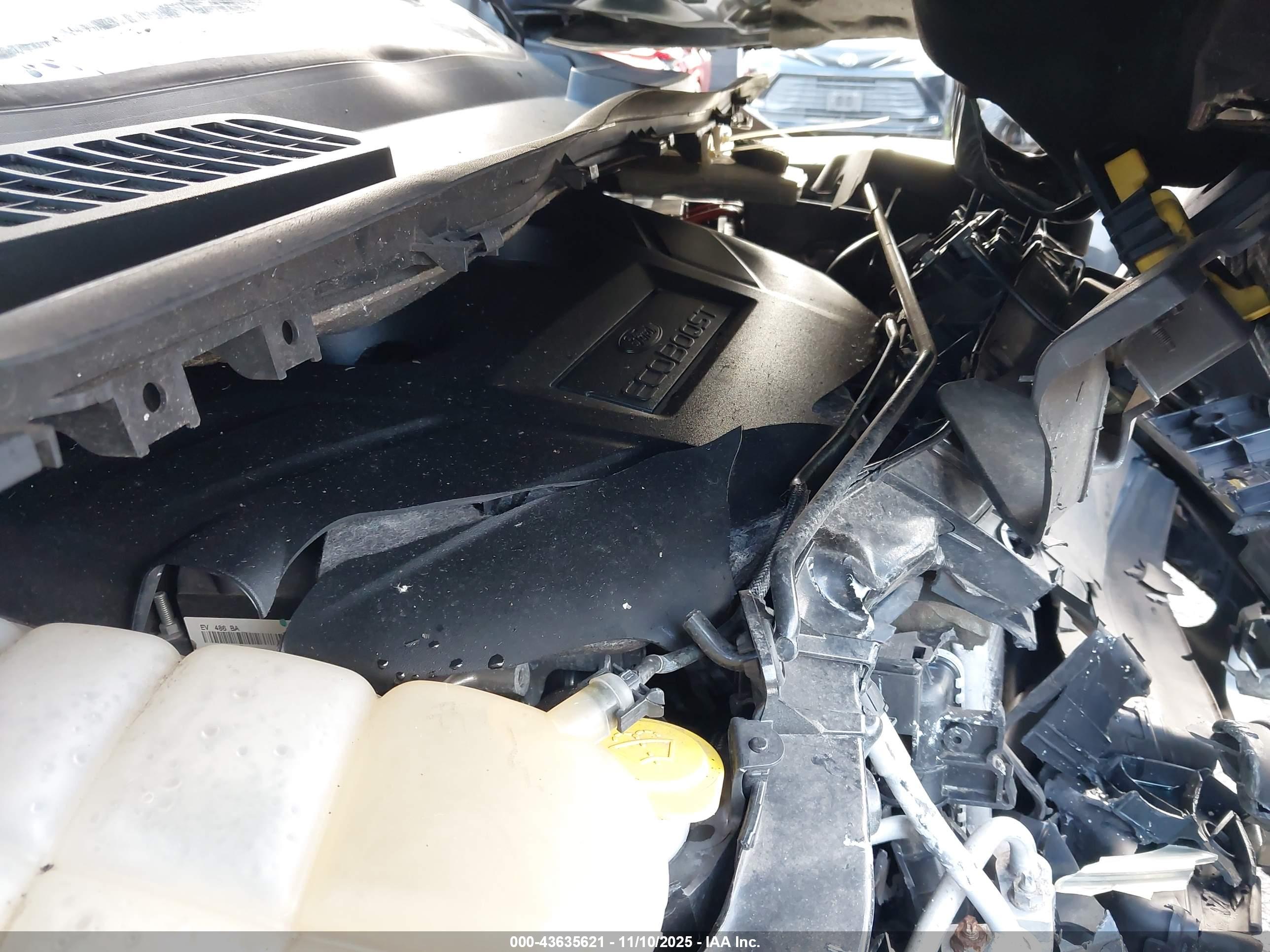 FORD ESCAPE image 10