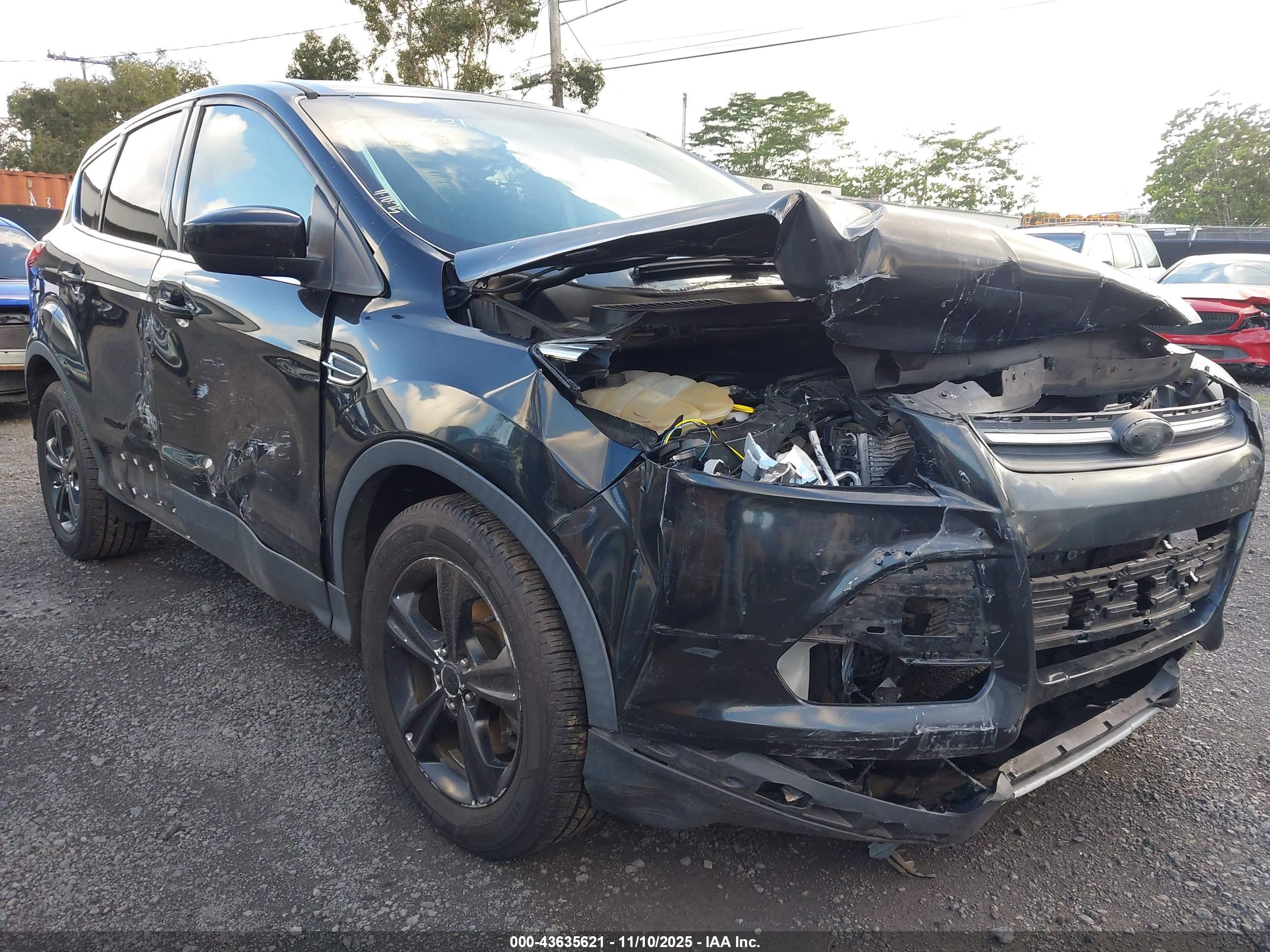 FORD ESCAPE image 6