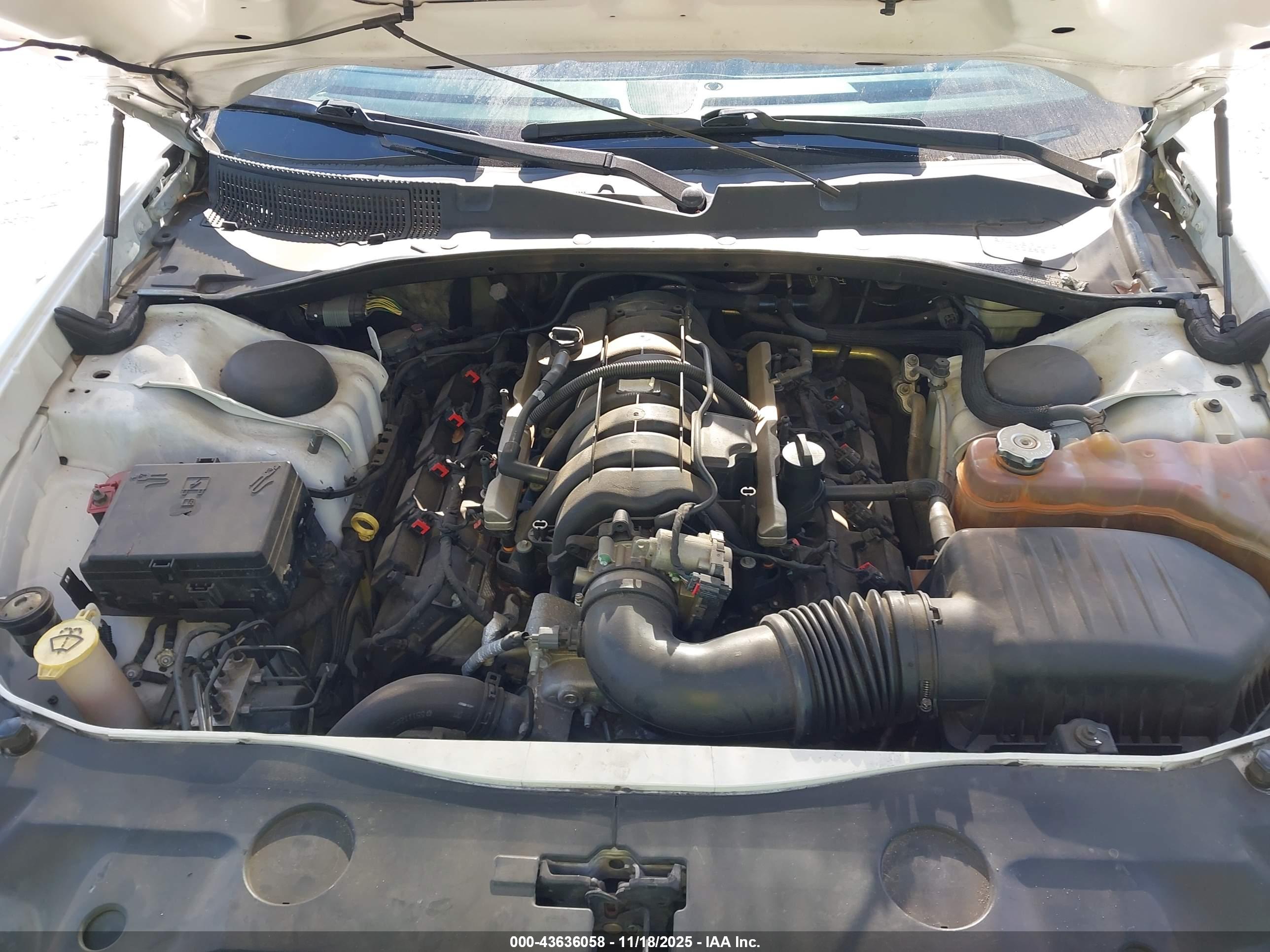 DODGE CHARGER image 10