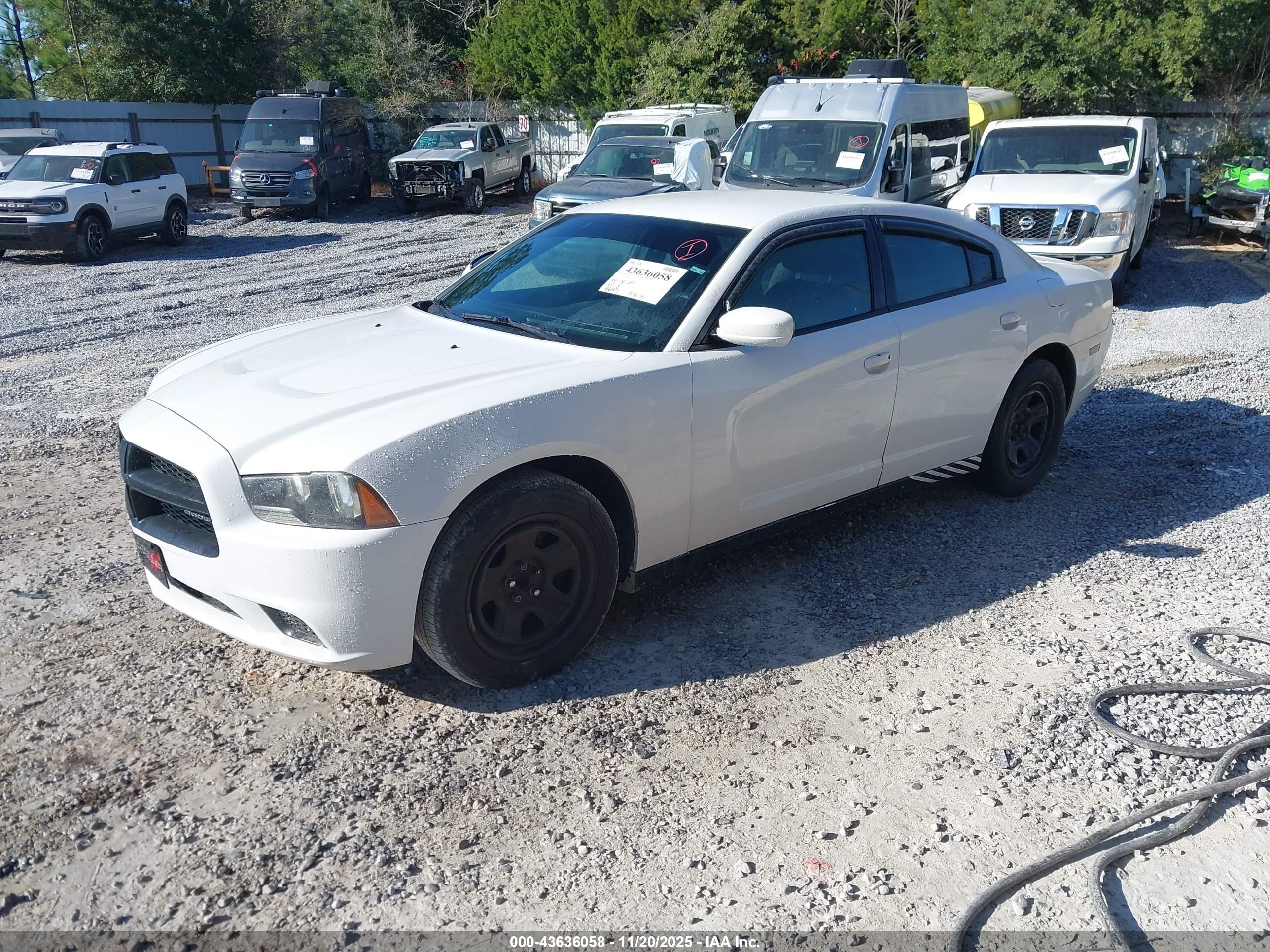 DODGE CHARGER image 2