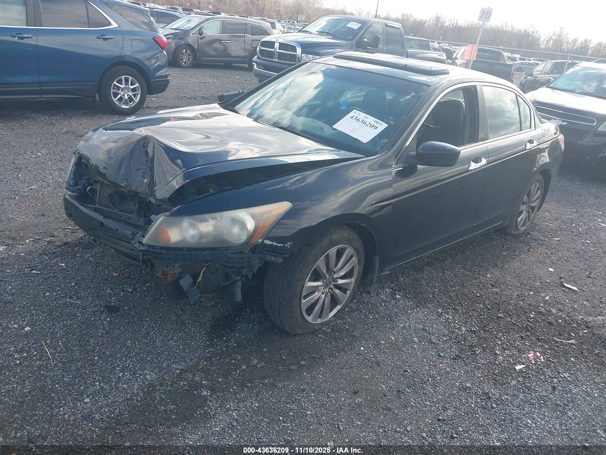 HONDA ACCORD image 2