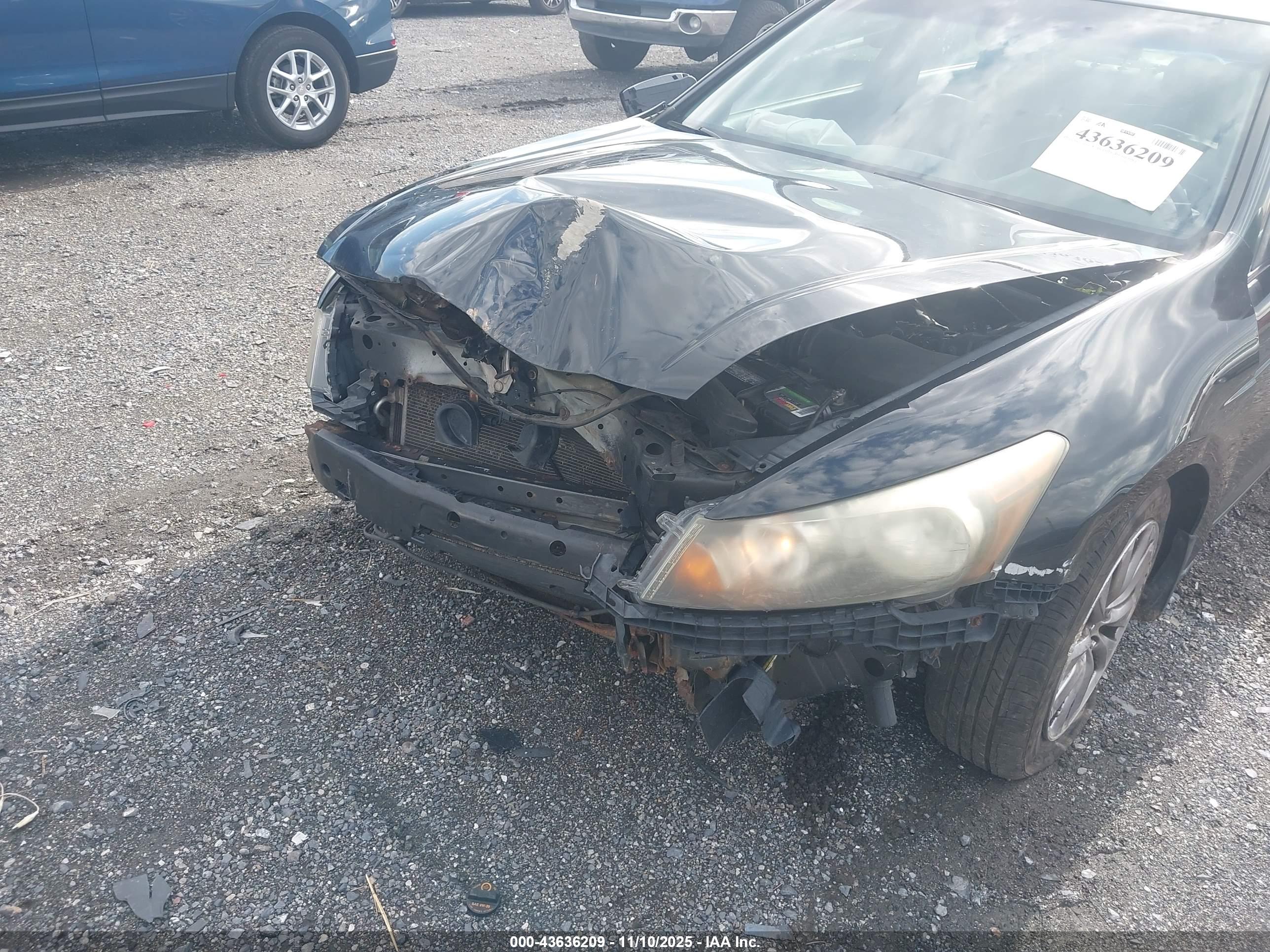 HONDA ACCORD image 6