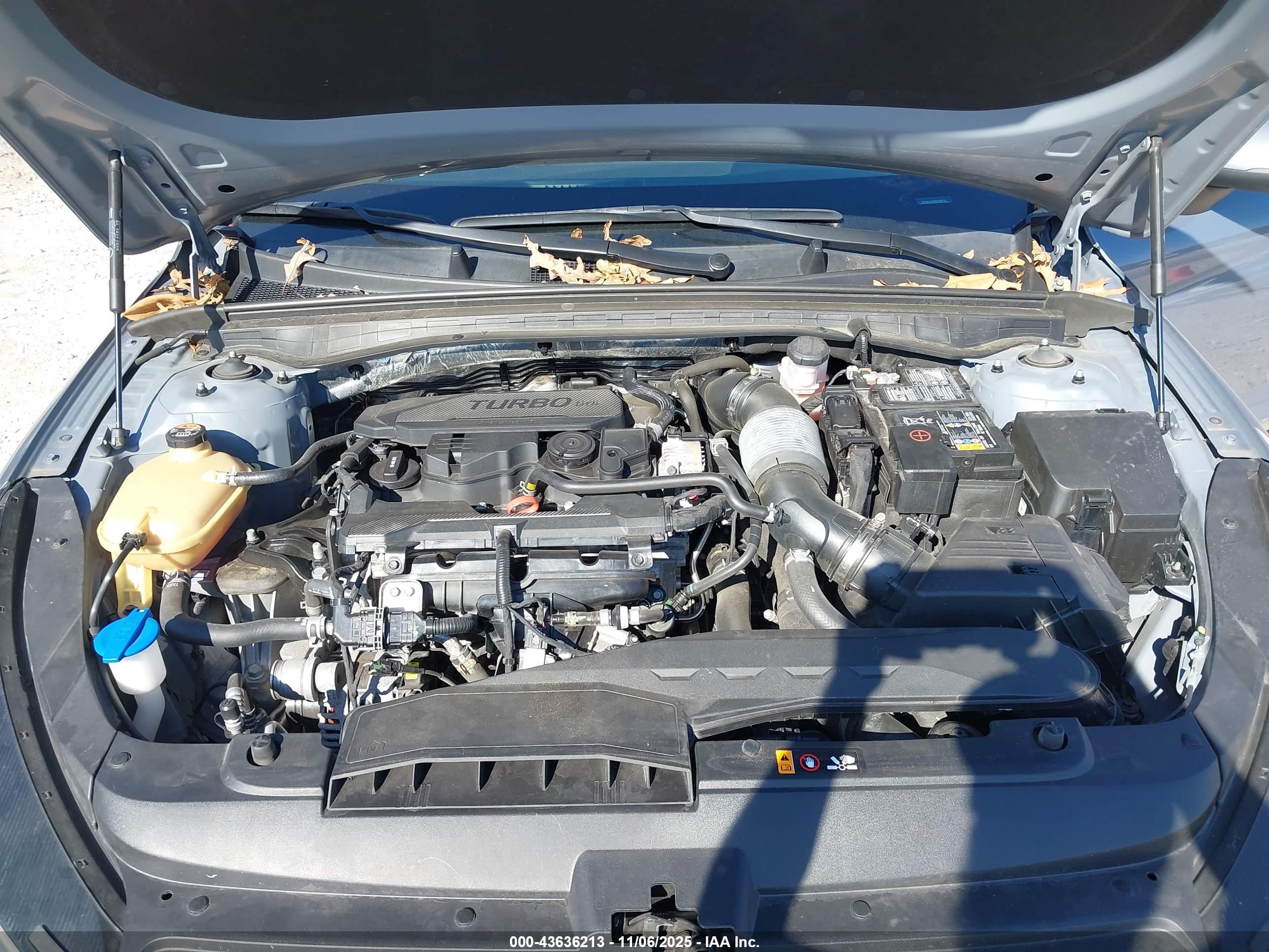 KIA K5 image 10