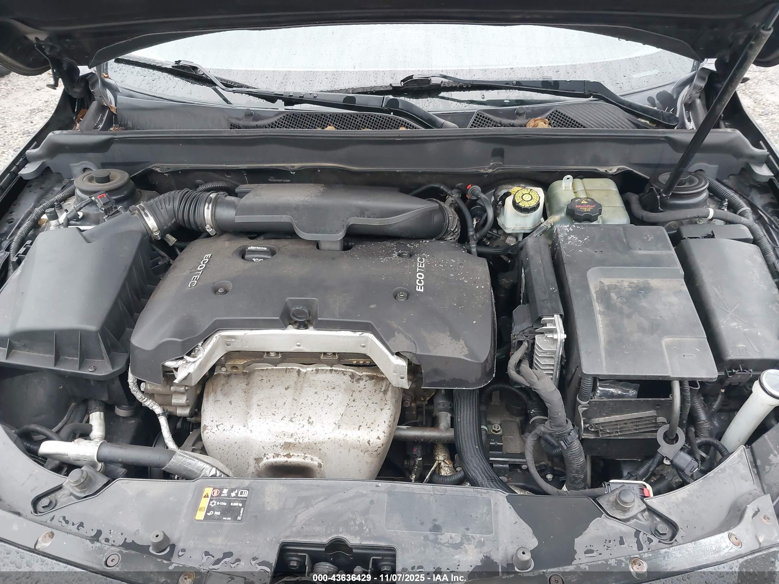 CHEVROLET MALIBU image 10
