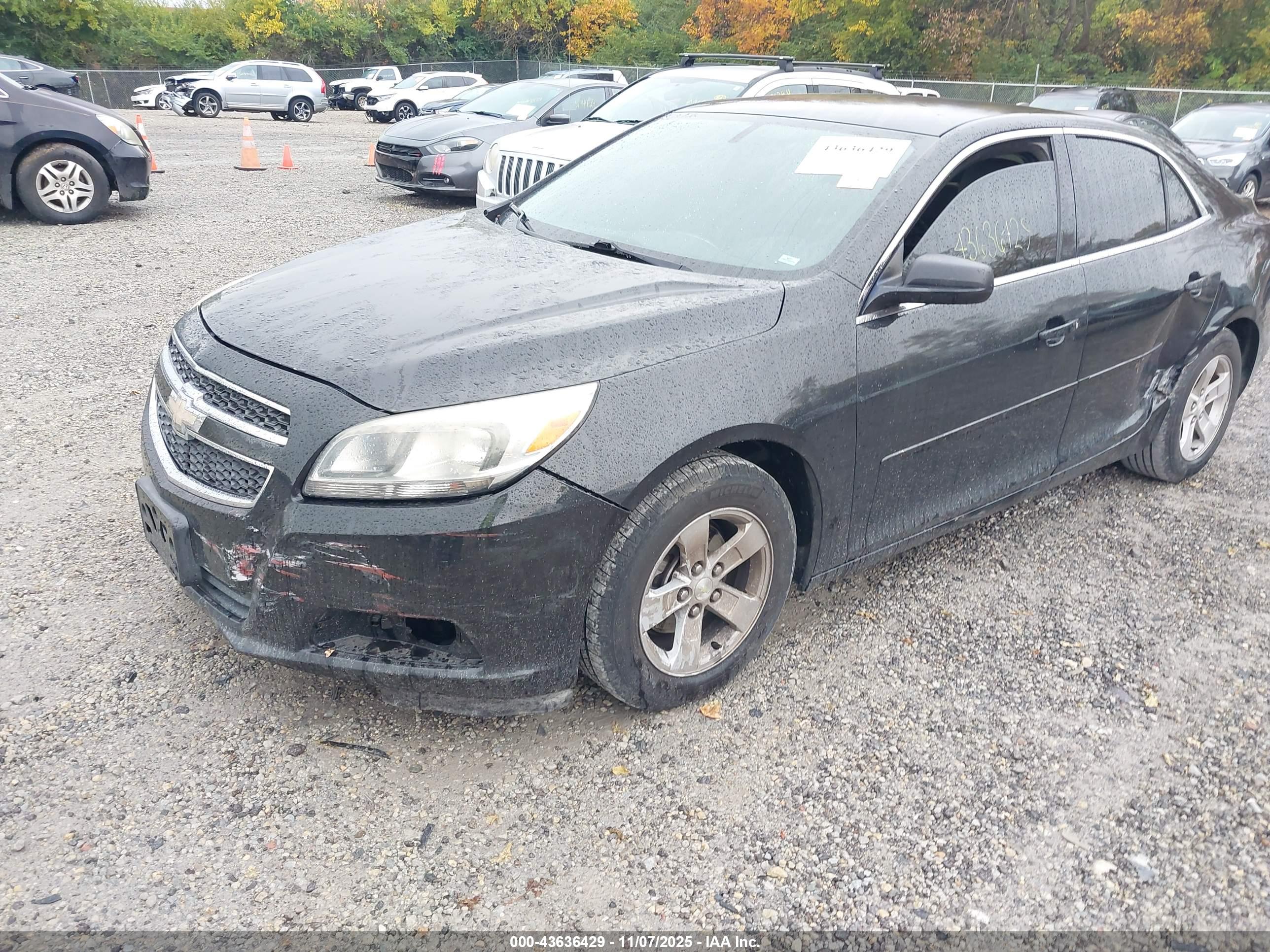 CHEVROLET MALIBU image 6