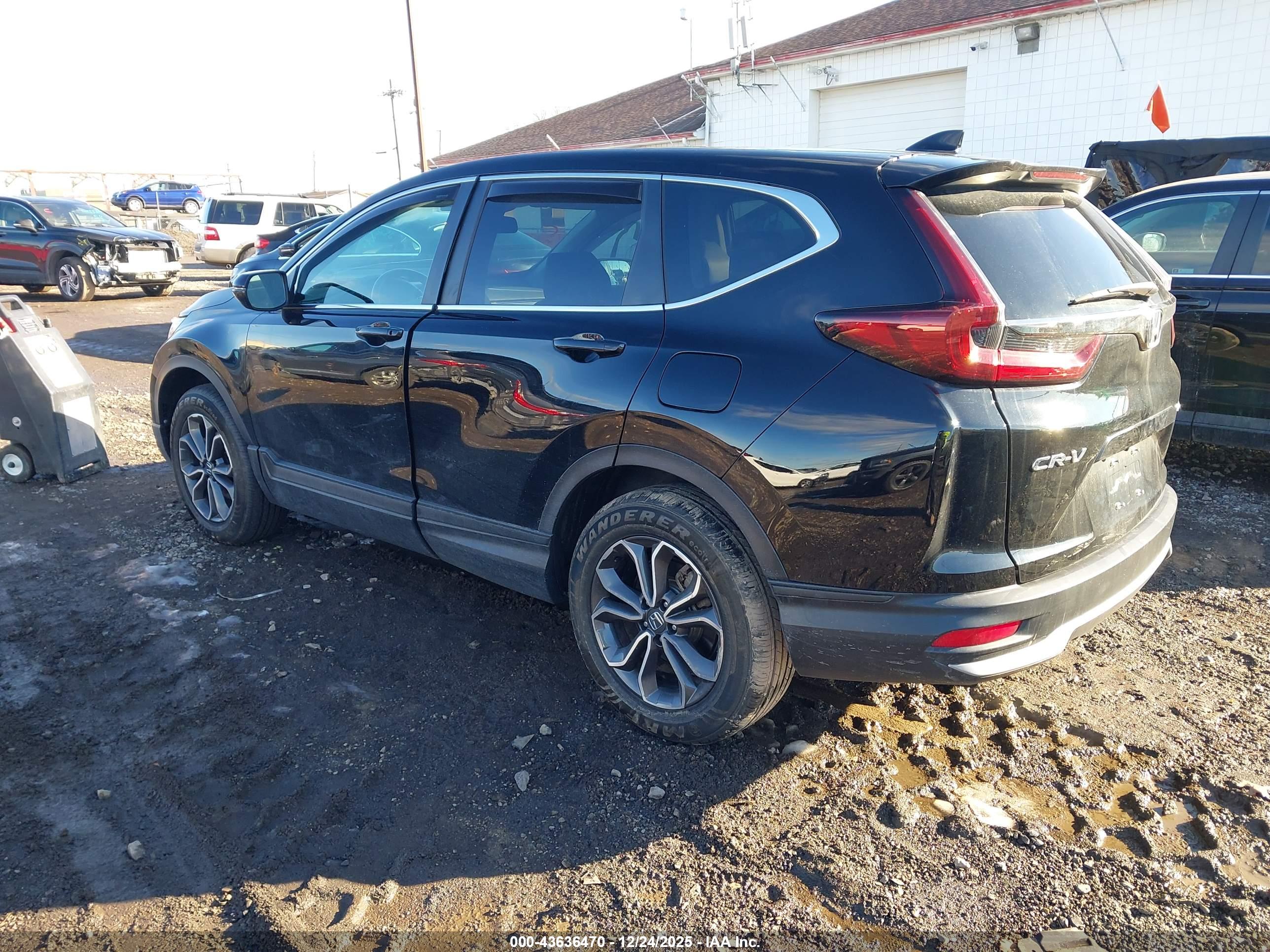 HONDA CR-V image 3