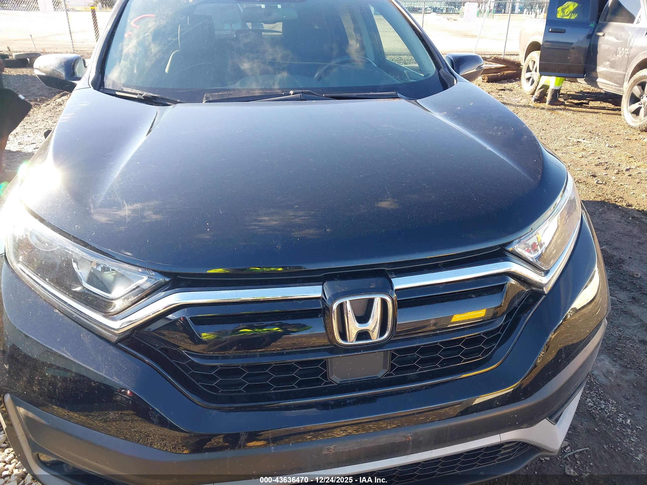 HONDA CR-V image 6
