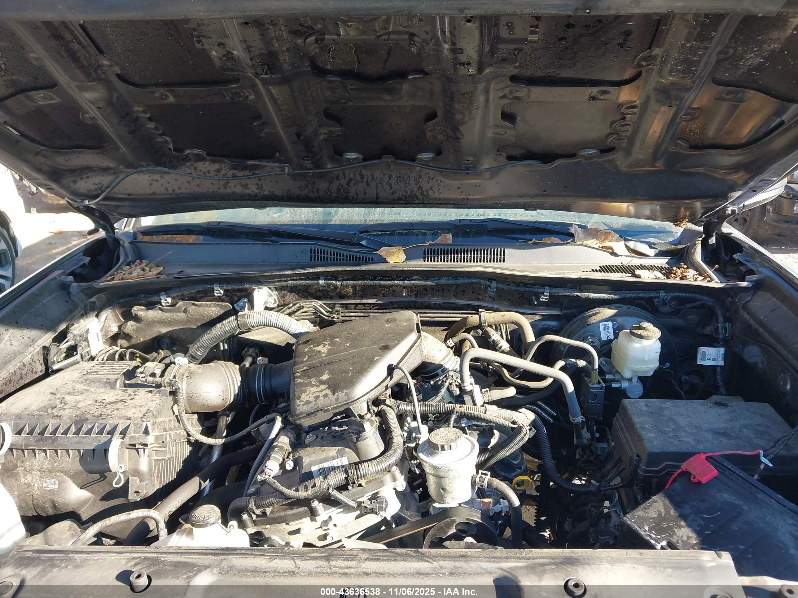TOYOTA TACOMA image 10