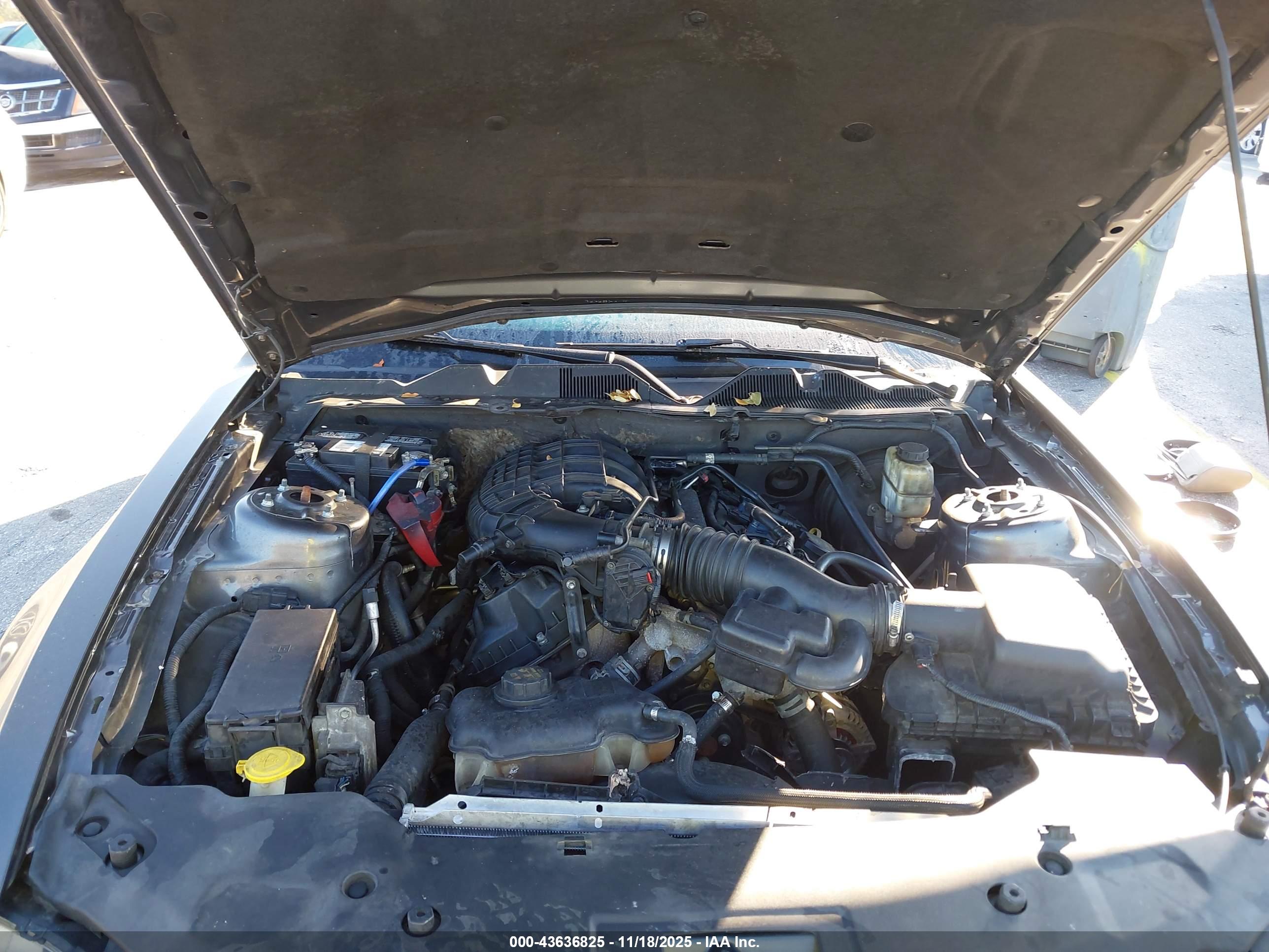 FORD MUSTANG image 10