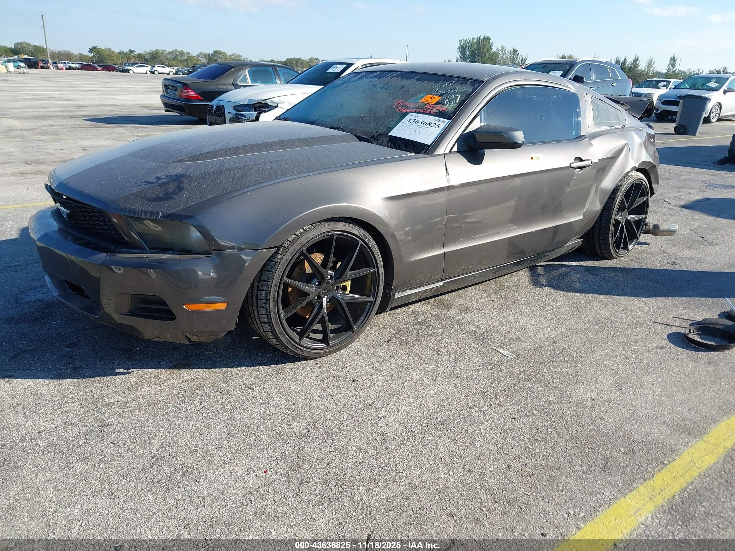 FORD MUSTANG image 2