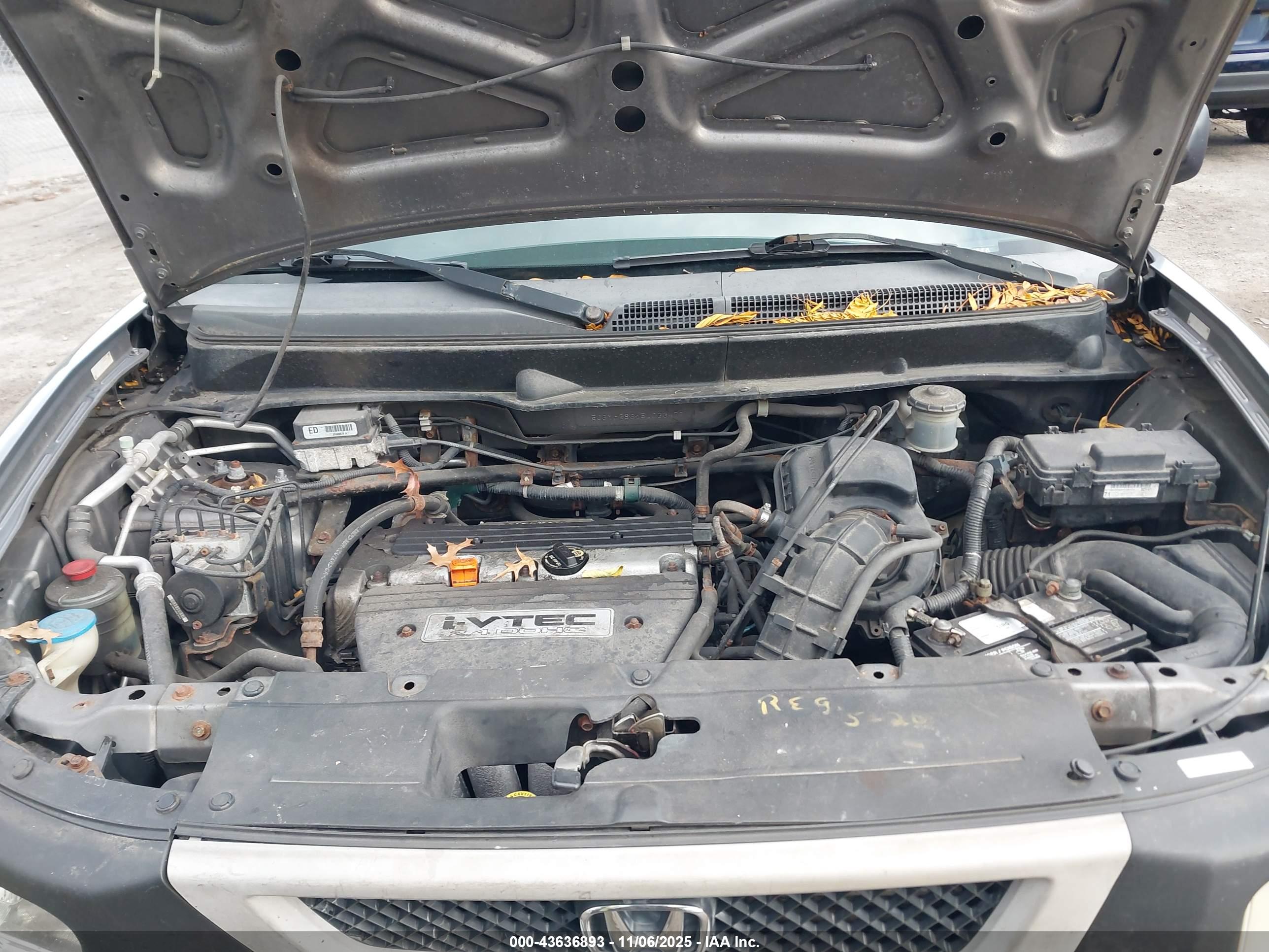 HONDA ELEMENT image 10