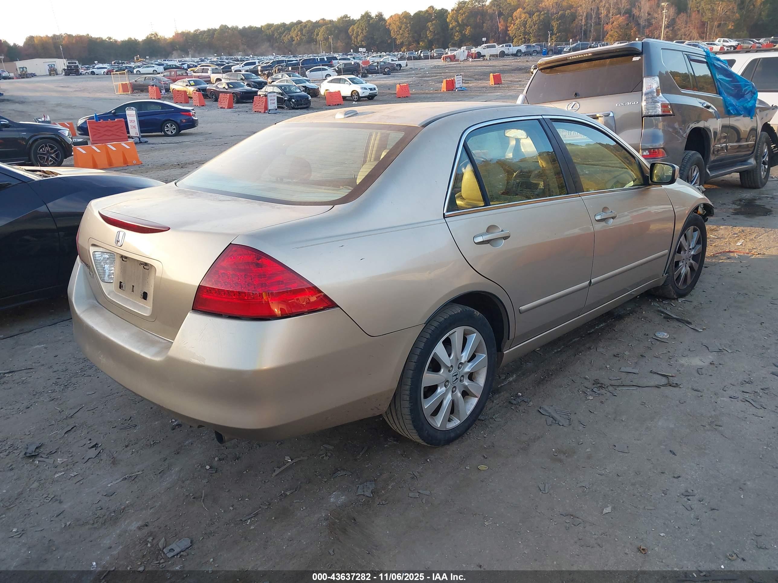 HONDA ACCORD image 4
