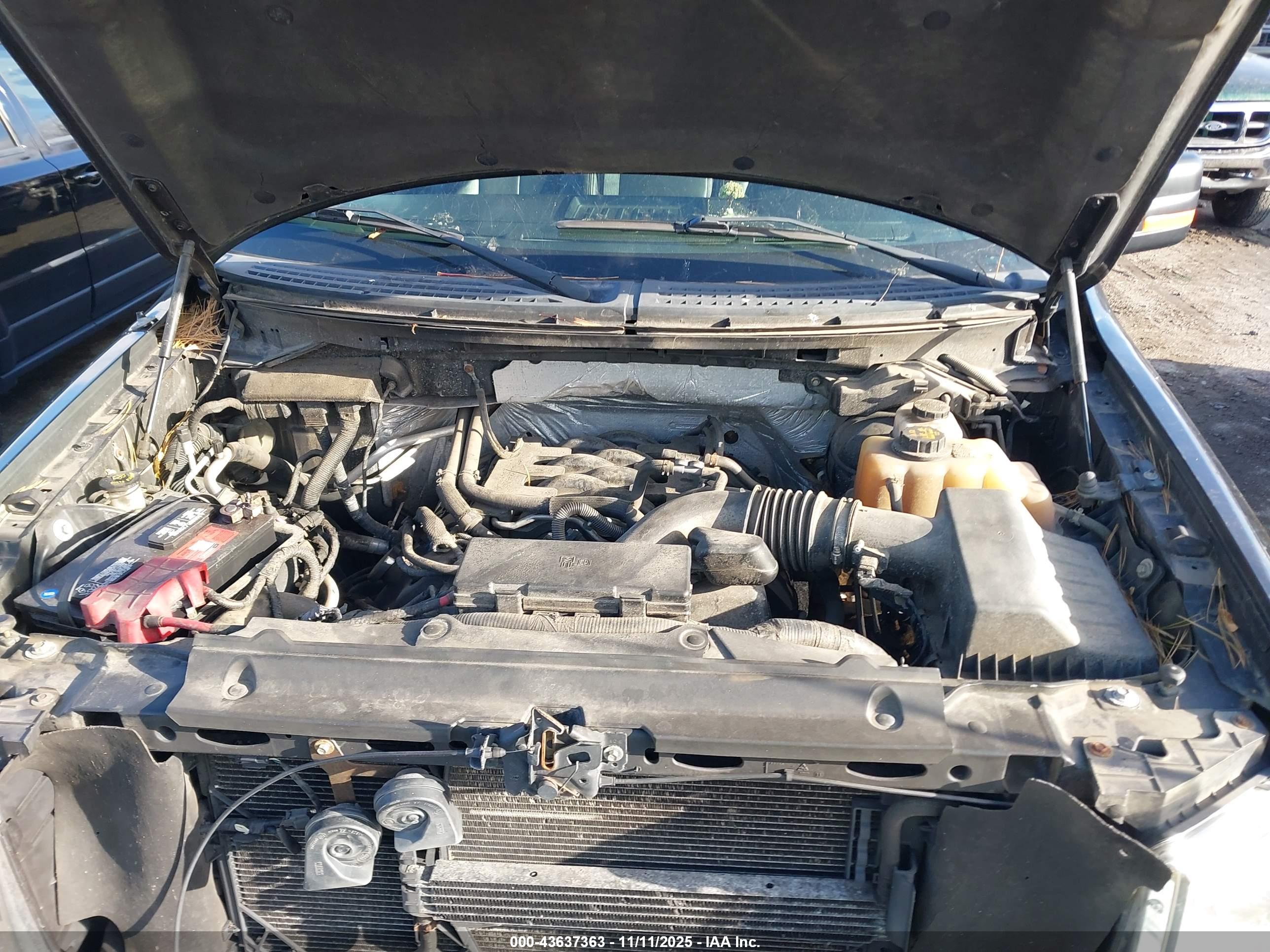 FORD F-150 image 10