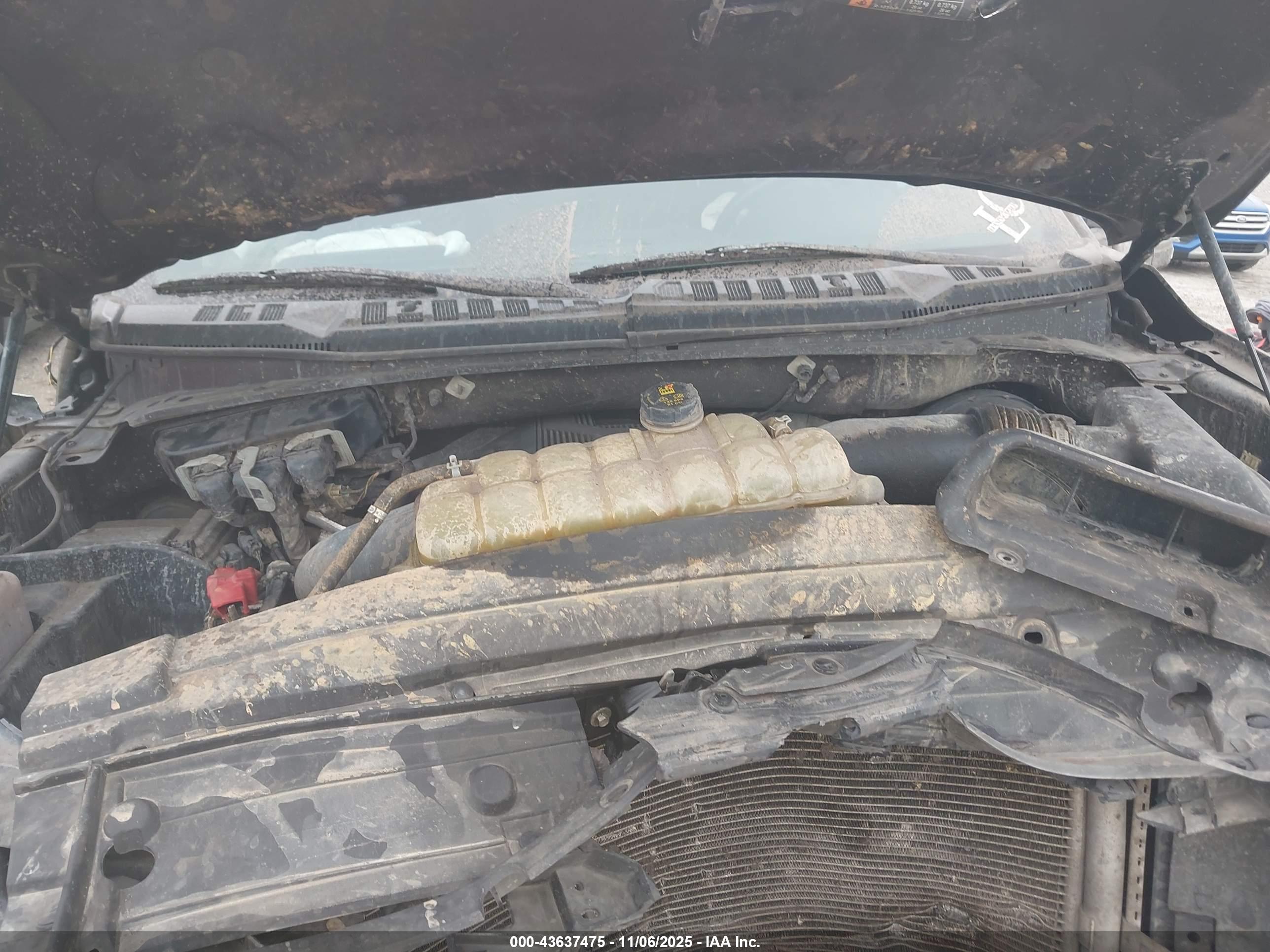 FORD F-150 image 10