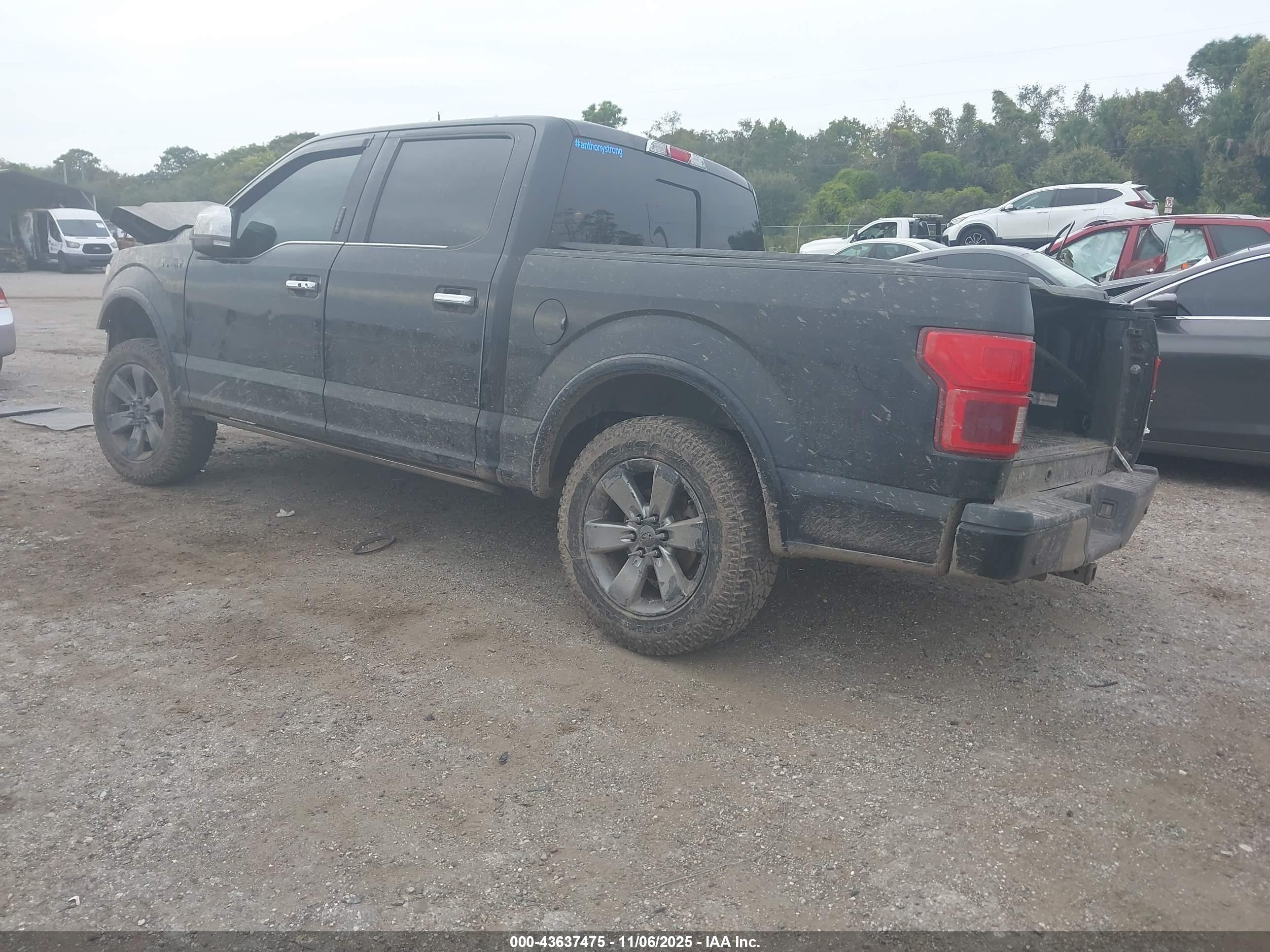 FORD F-150 image 3