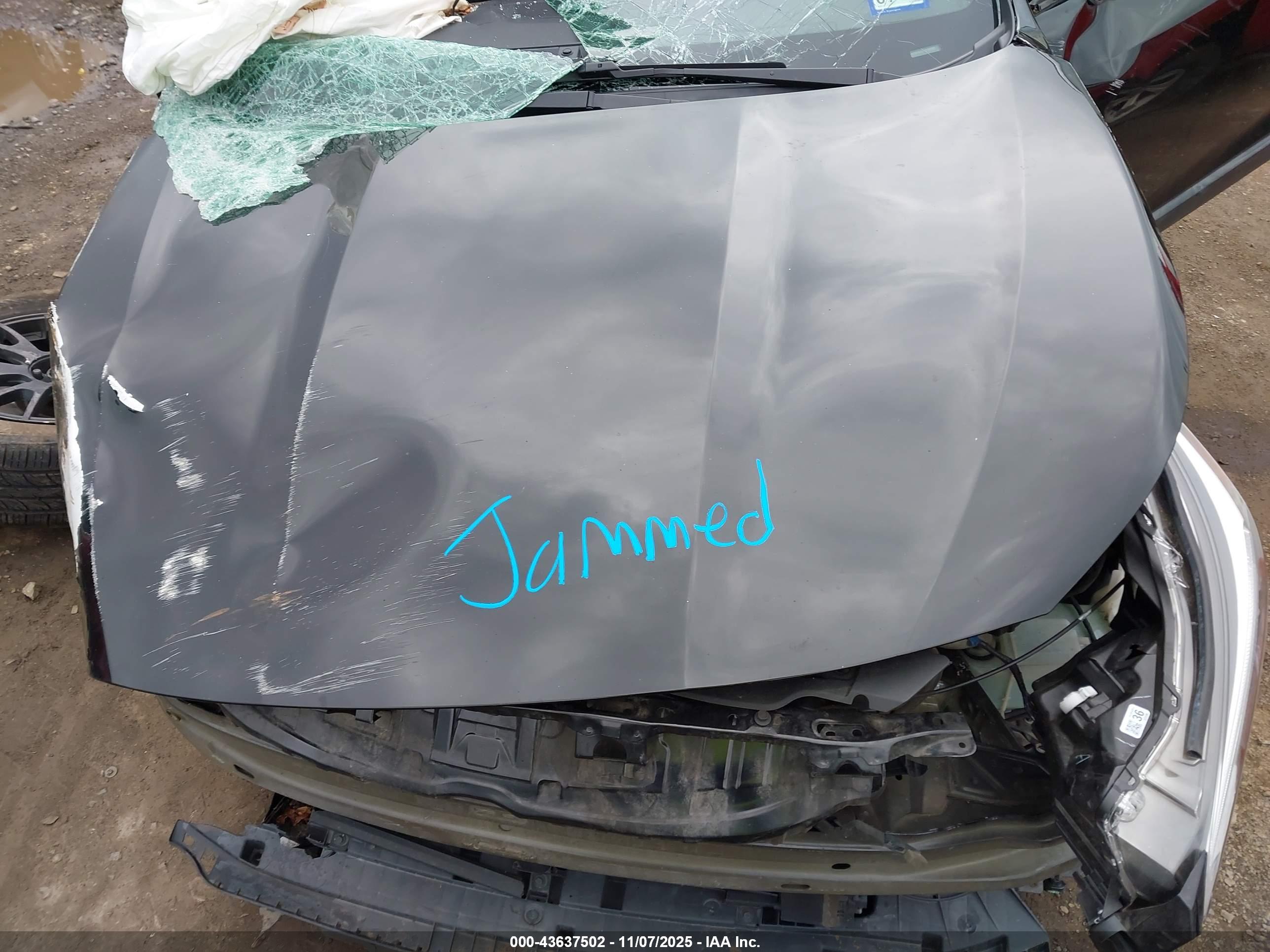 SUBARU OUTBACK image 10