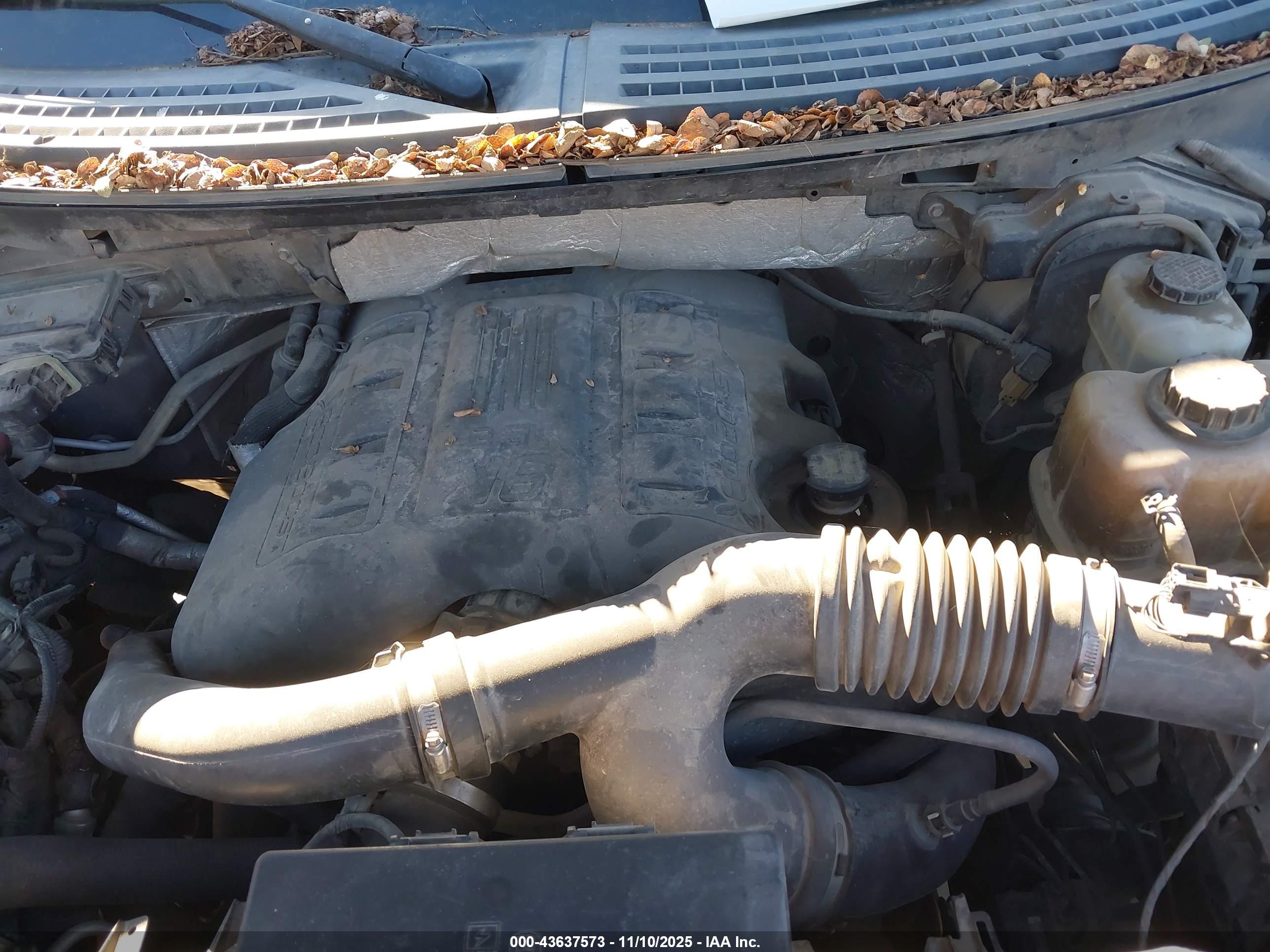 FORD F-150 image 10