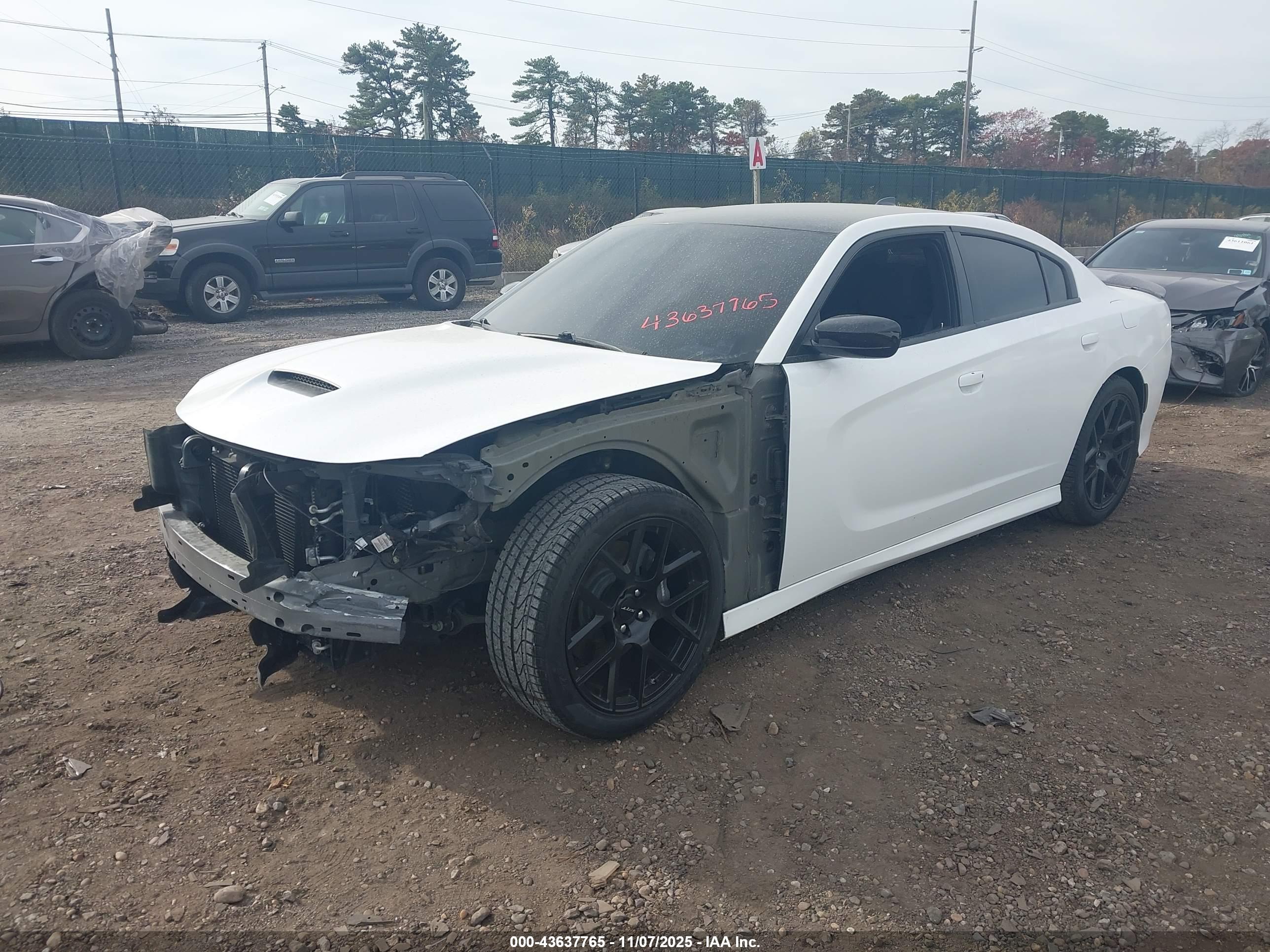 DODGE CHARGER image 2
