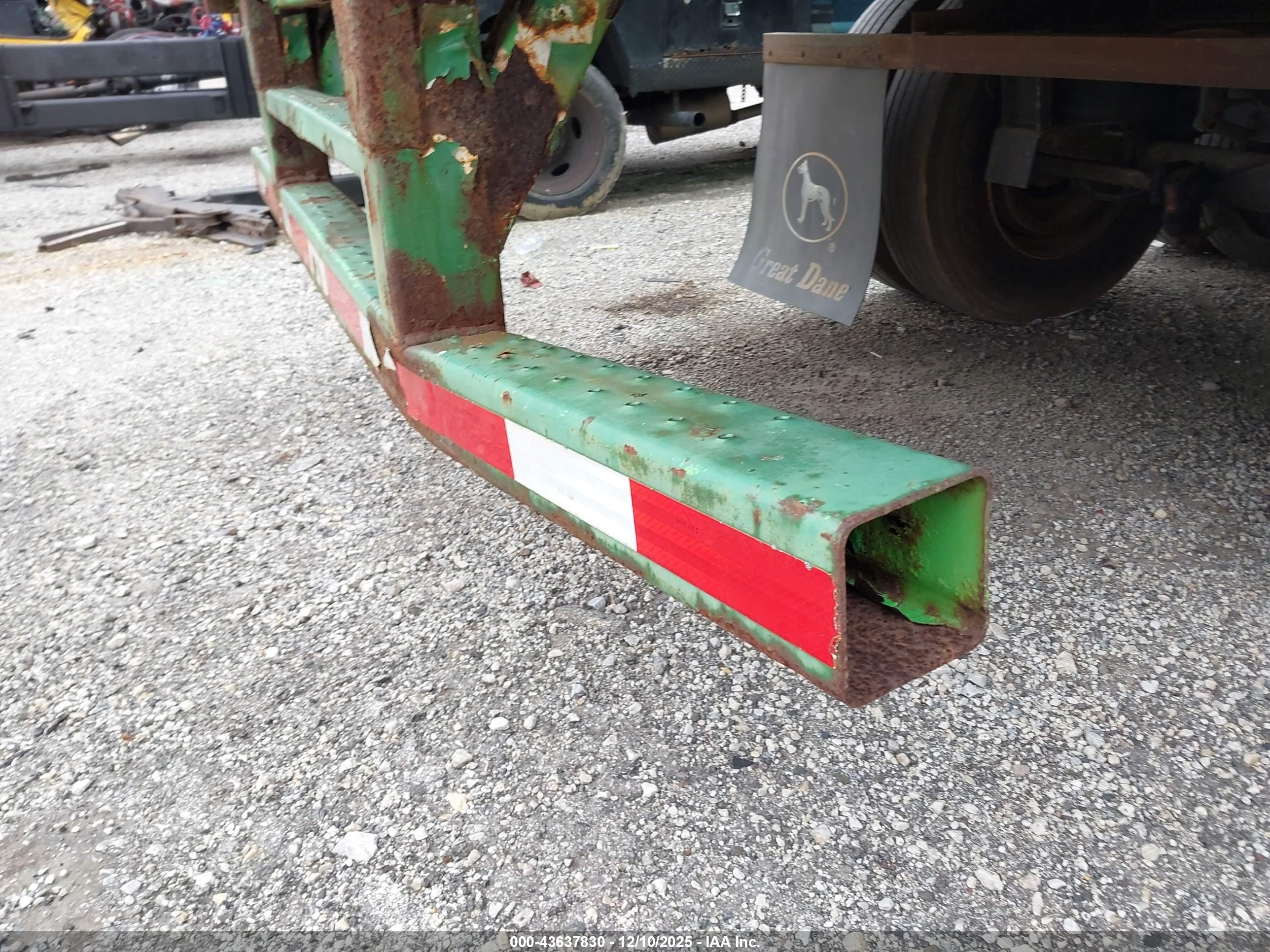 GREAT DANE image 6
