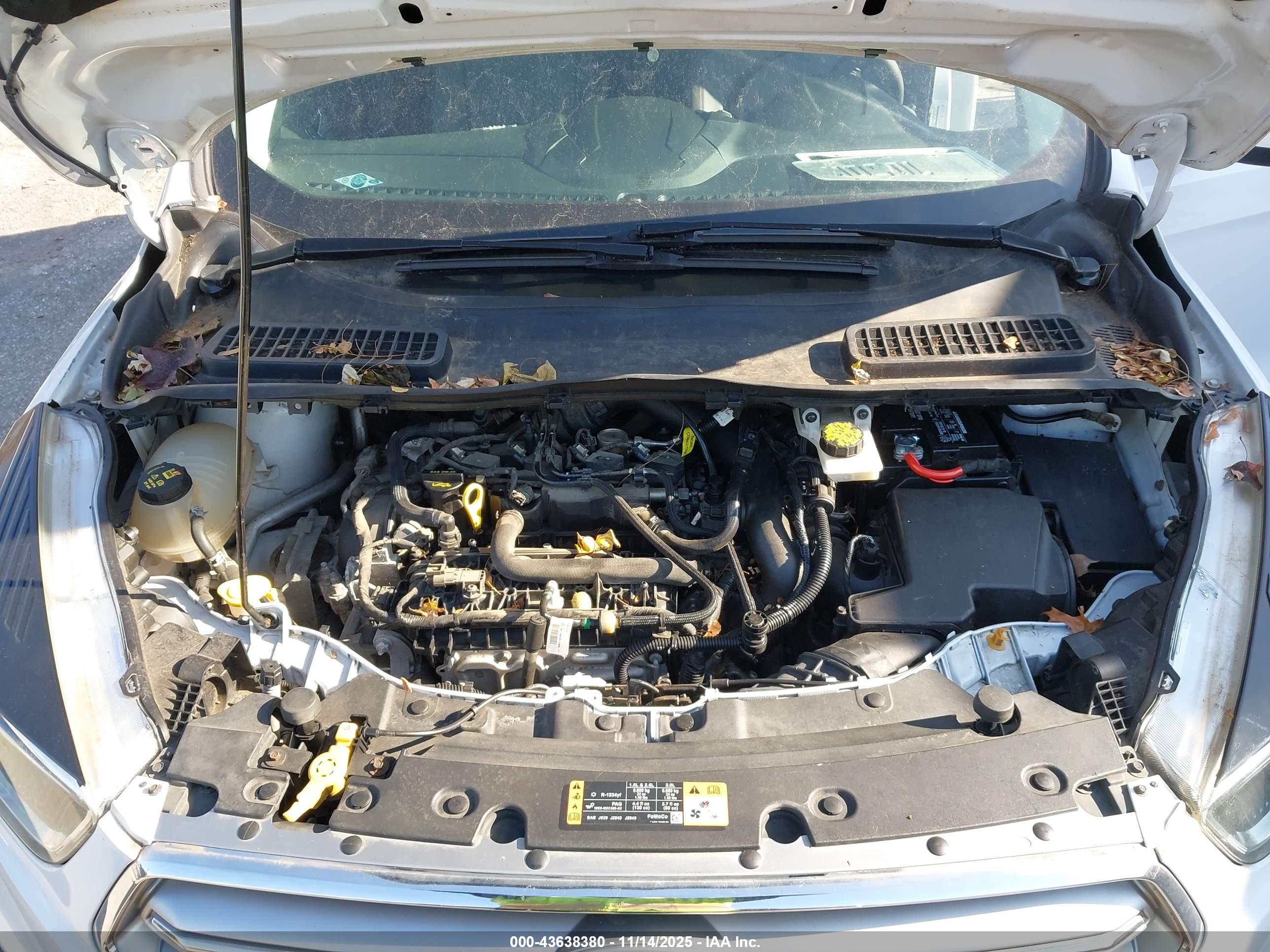 FORD ESCAPE image 10