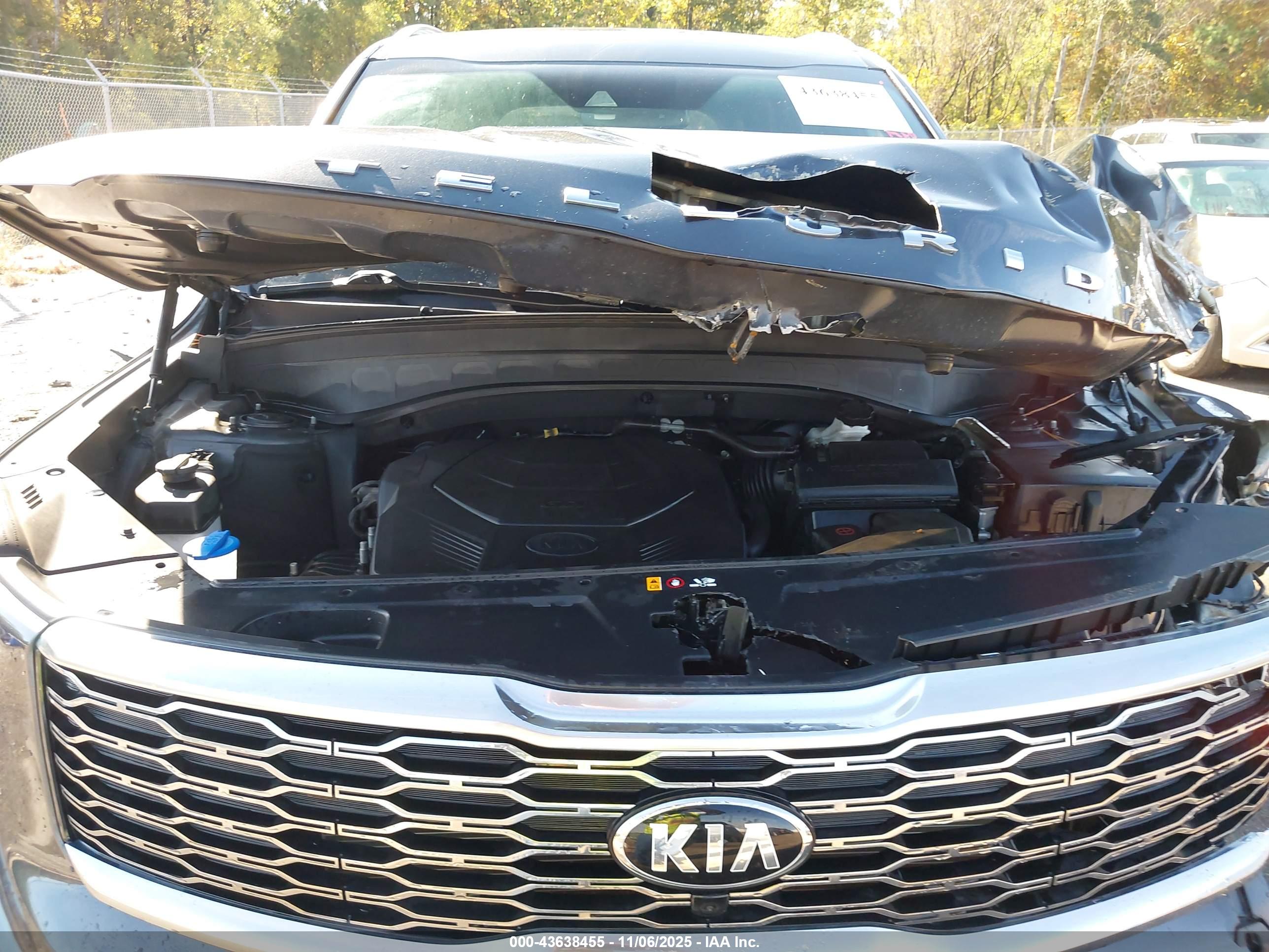KIA TELLURIDE image 10
