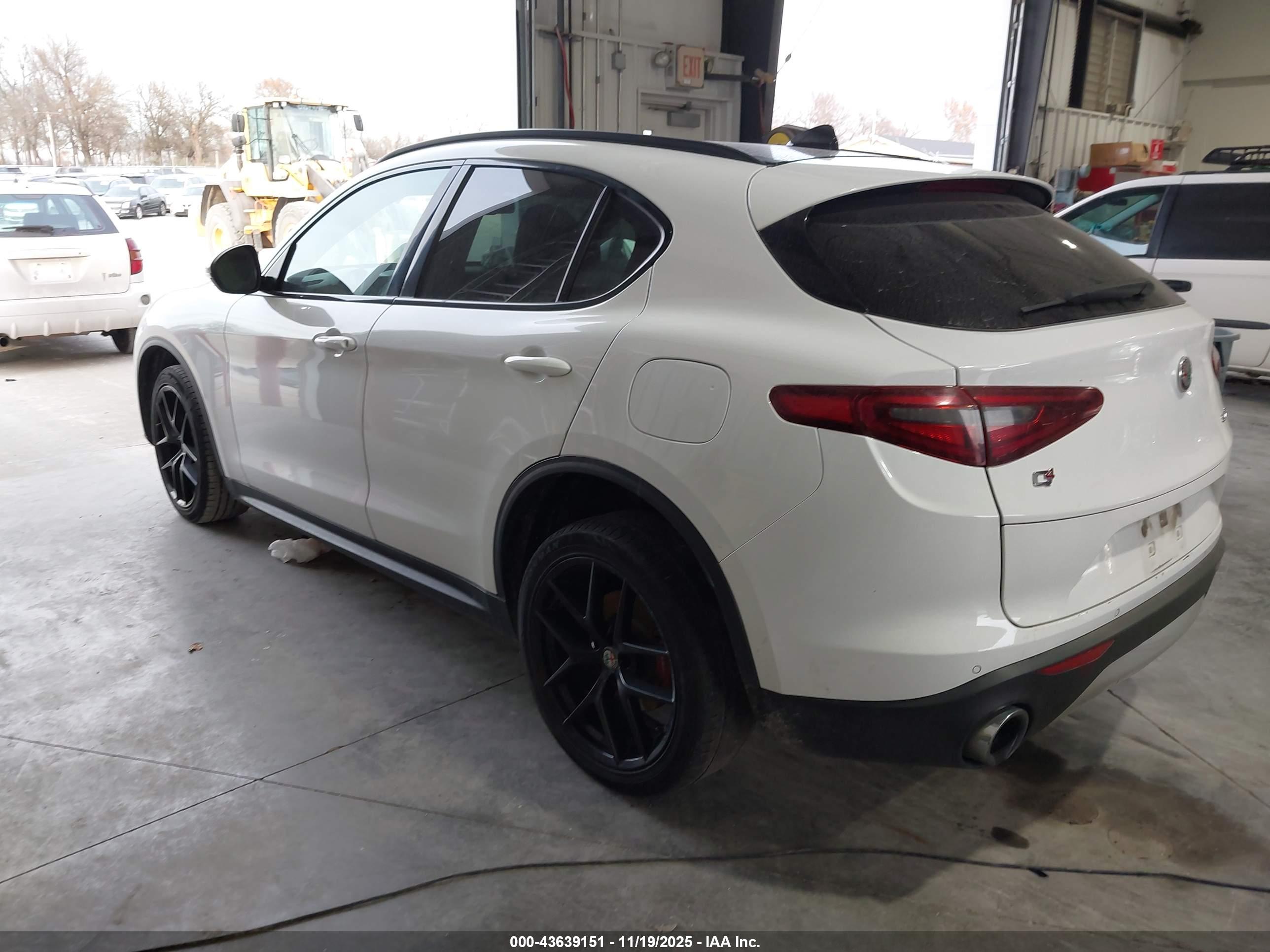 ALFA ROMEO image 3