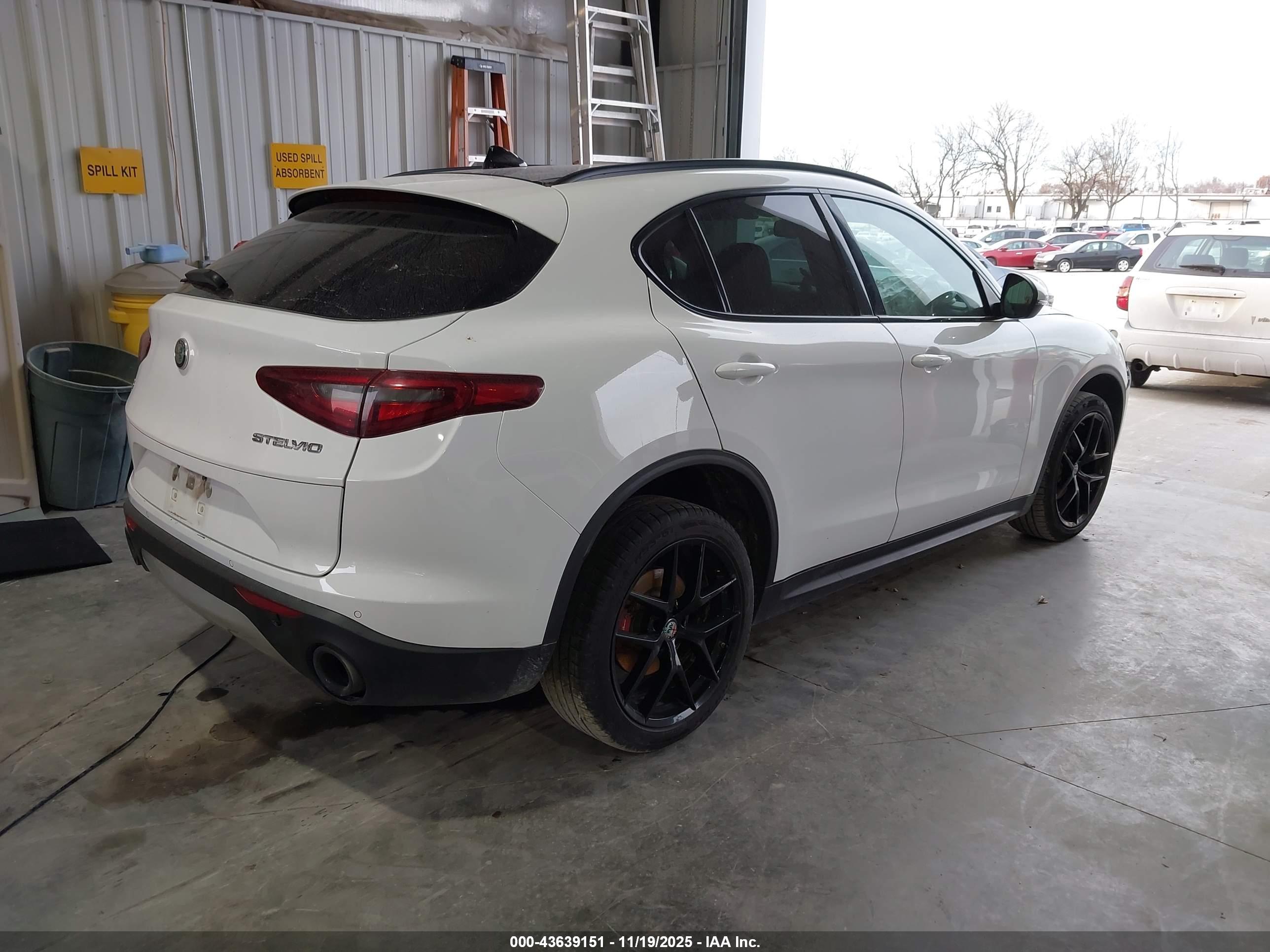 ALFA ROMEO image 4