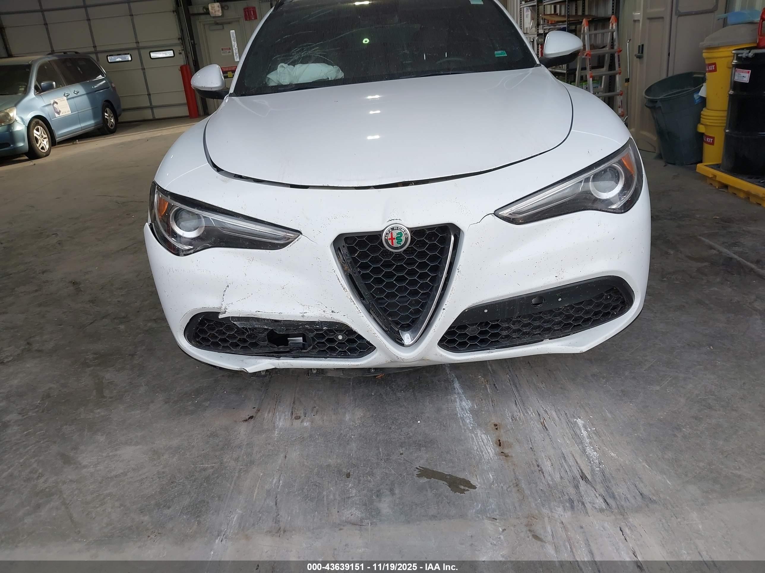 ALFA ROMEO image 6